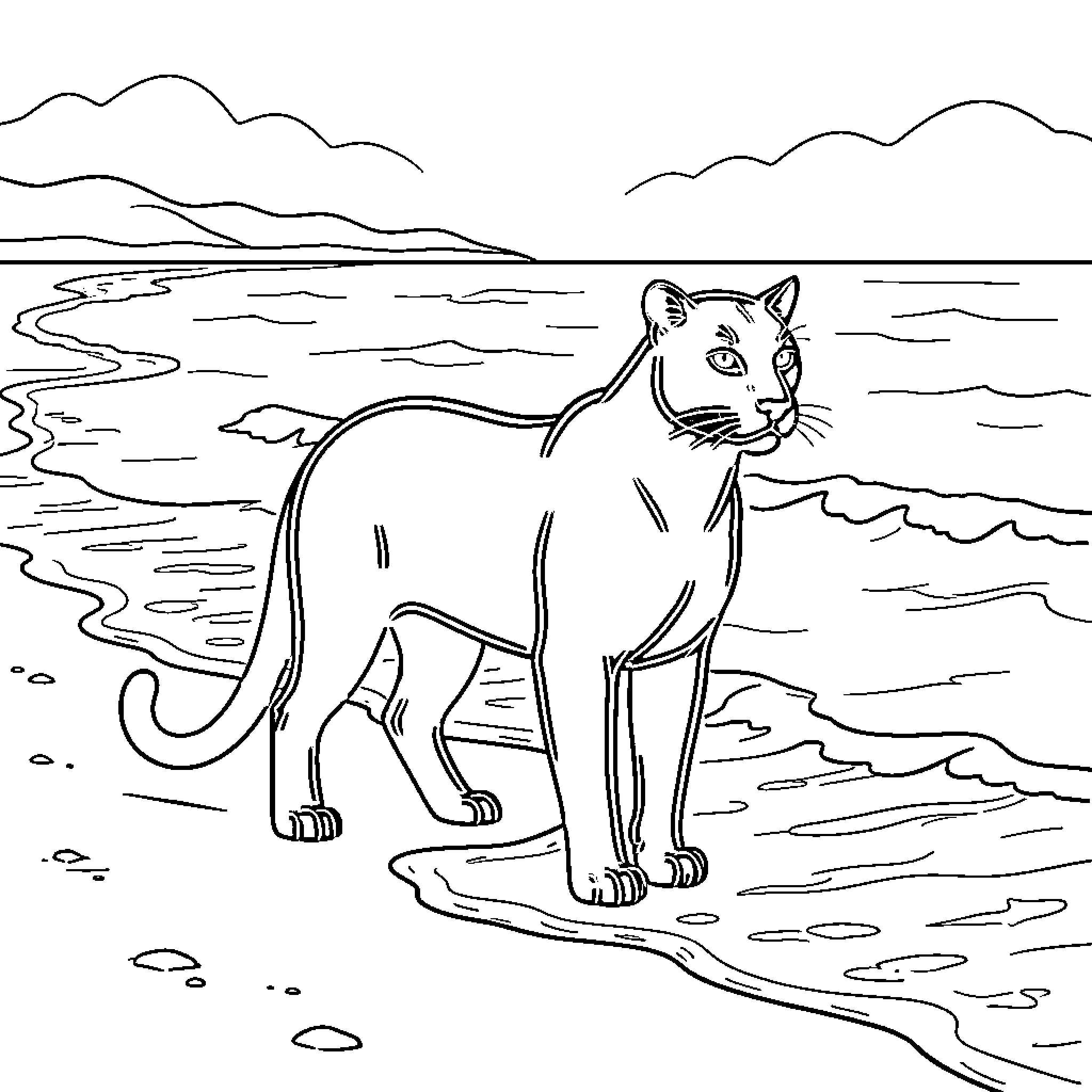 Panther walking calmly along a peaceful shoreline Coloring Page (free black-and-white line drawing printable PDF for all, from beginners to advanced learners, including children, teens, adults, and seniors)