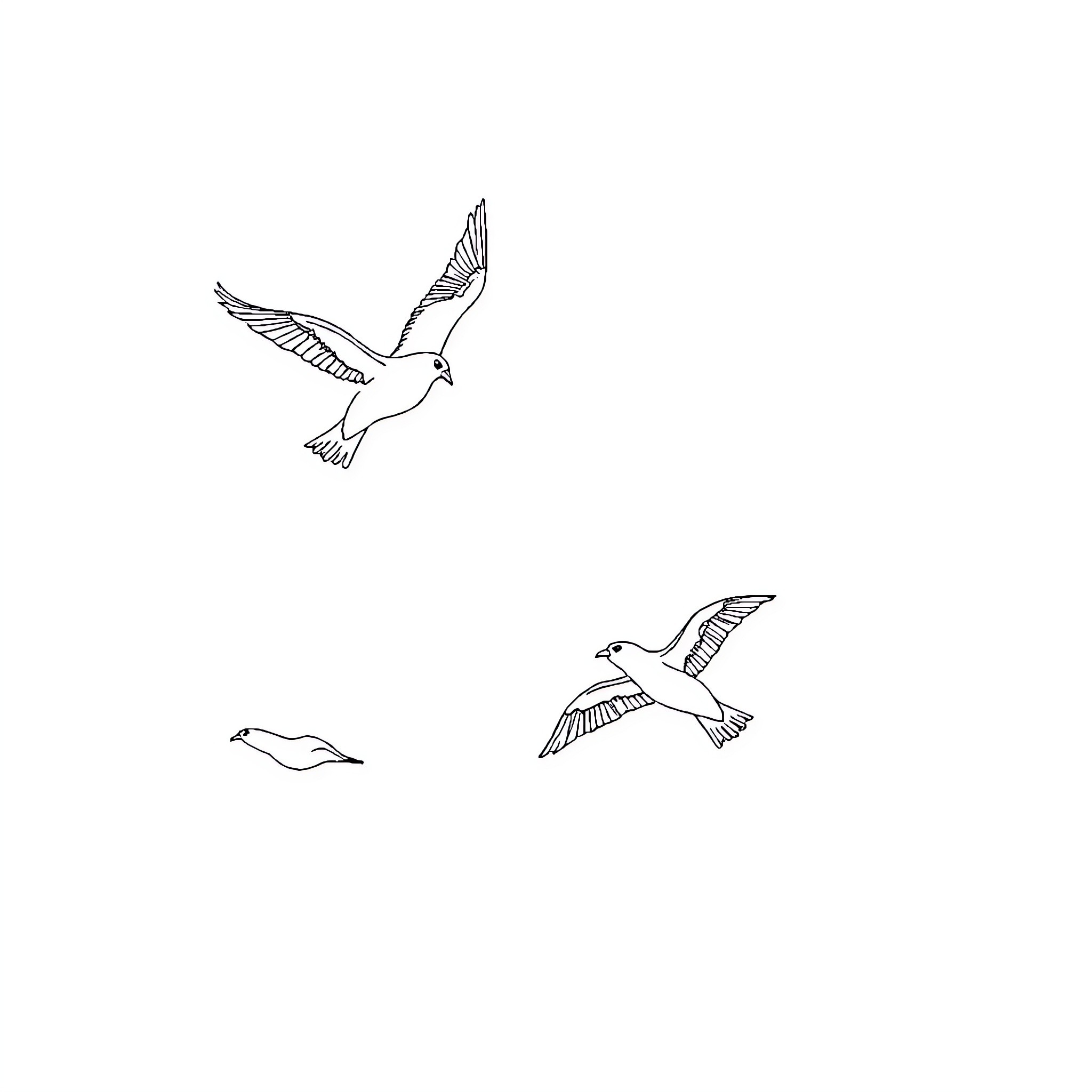 Birds soaring gracefully in the sky Coloring Page (free black-and-white line drawing printable PDF for all, from beginners to advanced learners, including children, teens, adults, and seniors)