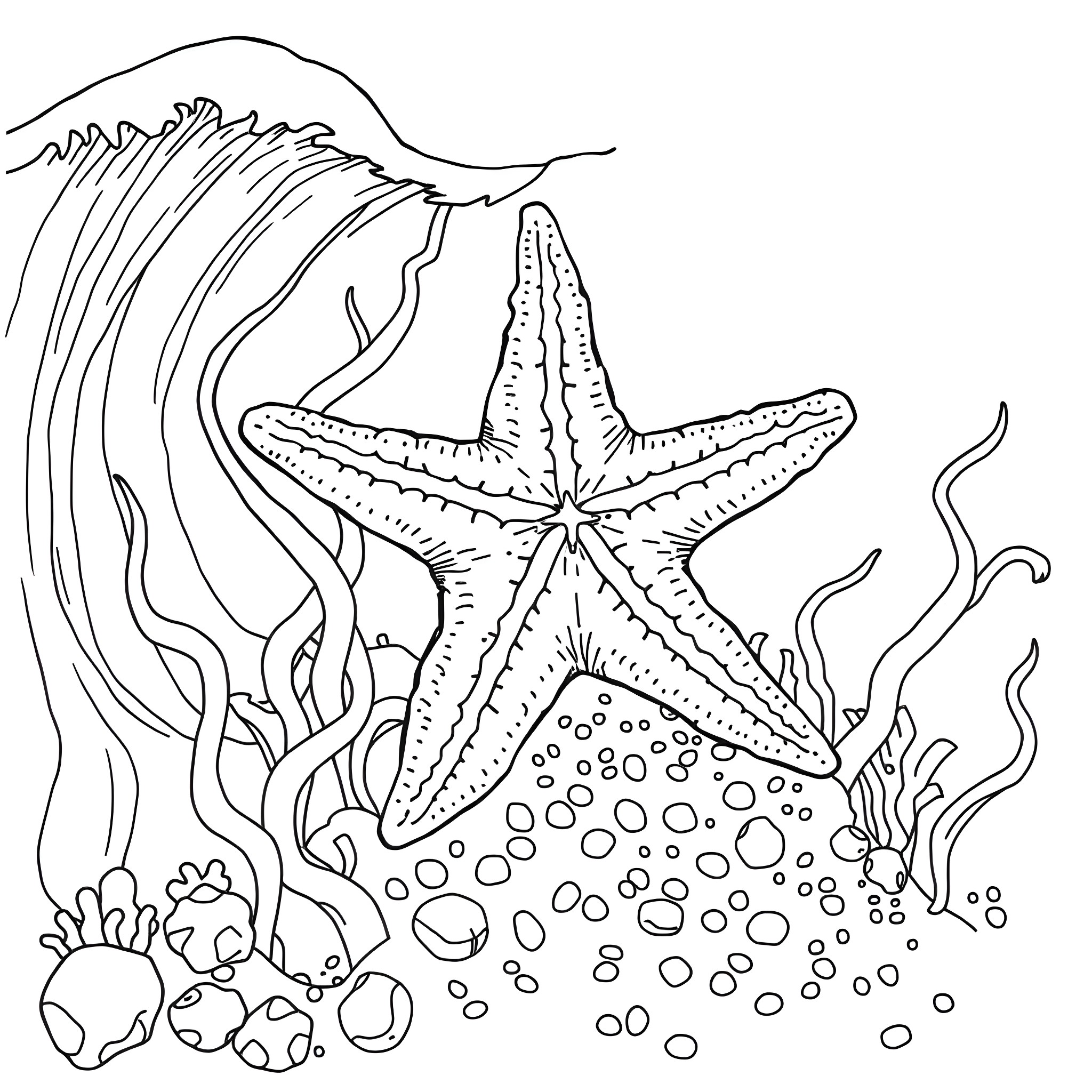 Starfish resting on the ocean floor surrounded by coral Coloring Page (free black-and-white line drawing printable PDF for all, from beginners to advanced learners, including children, teens, adults, and seniors)