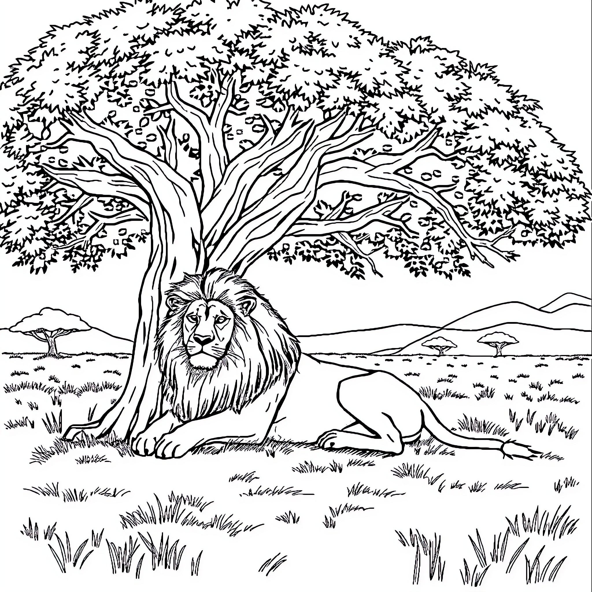 Lion resting under the tree in the savanna Coloring Page (free black-and-white line drawing printable PDF for all, from beginners to advanced learners, including children, teens, adults, and seniors)
