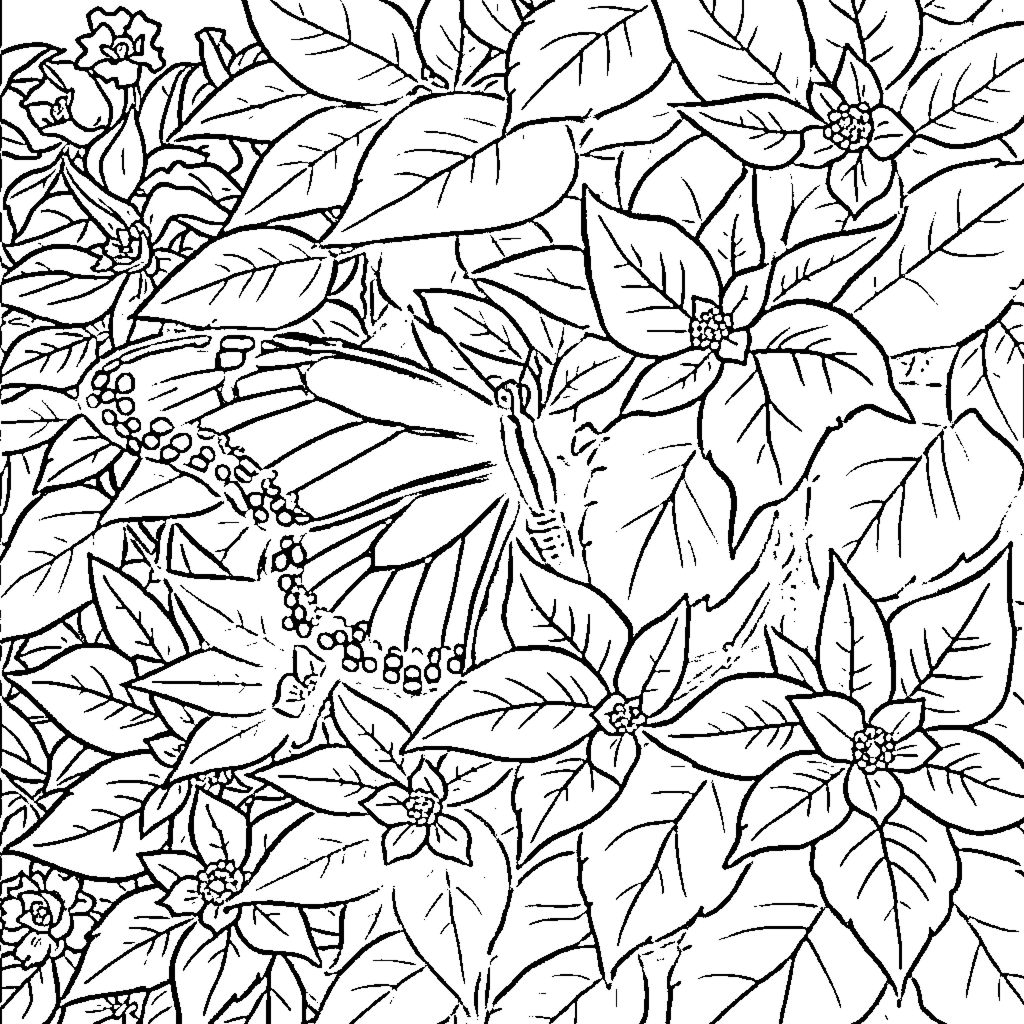 Butterfly Fluttering Amidst Intricate Floral Patterns Coloring Page (free black-and-white line drawing printable PDF for all, from beginners to advanced learners, including children, teens, adults, and seniors)