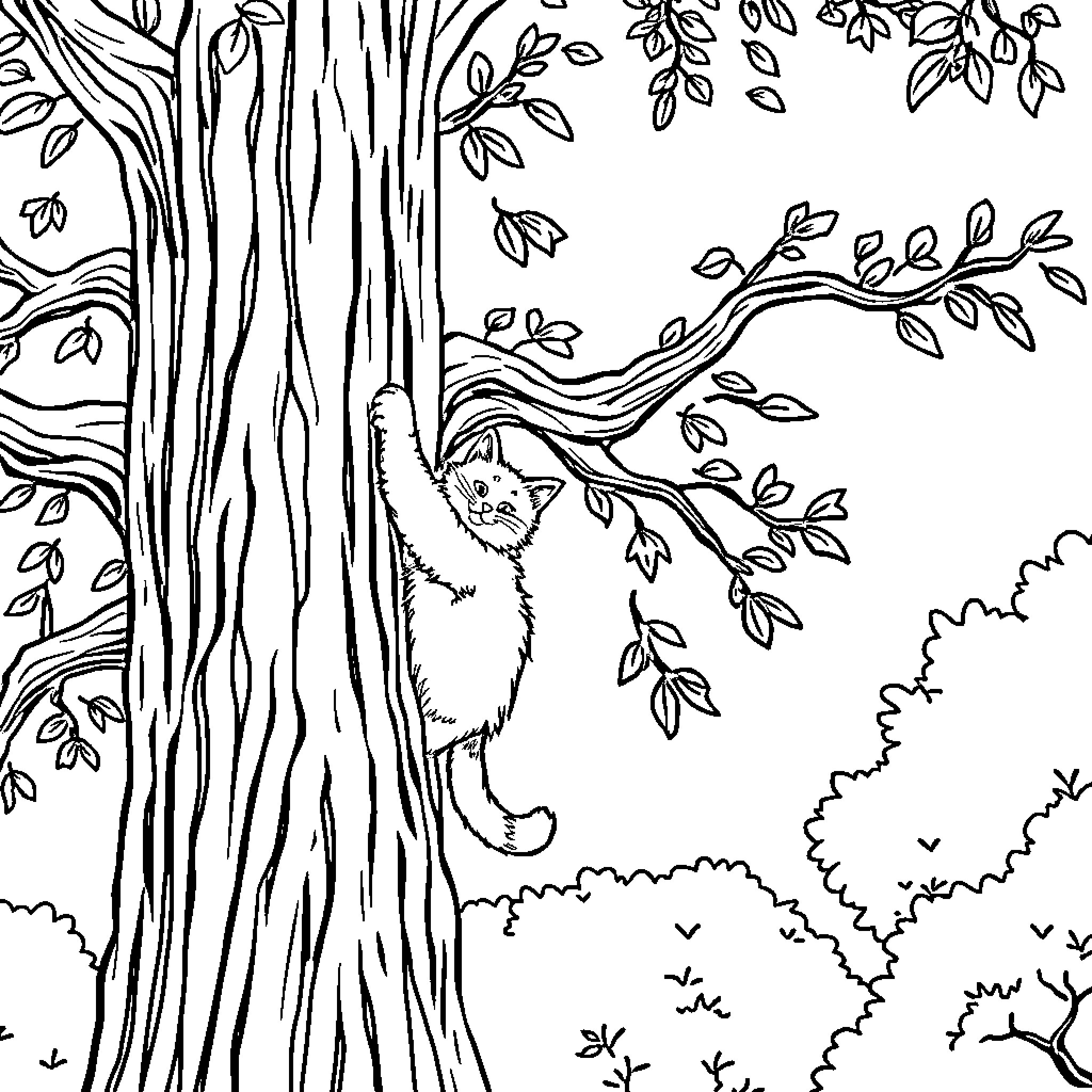 Cat peering from tree in forest Coloring Page (free black-and-white line drawing printable PDF for all, from beginners to advanced learners, including children, teens, adults, and seniors)