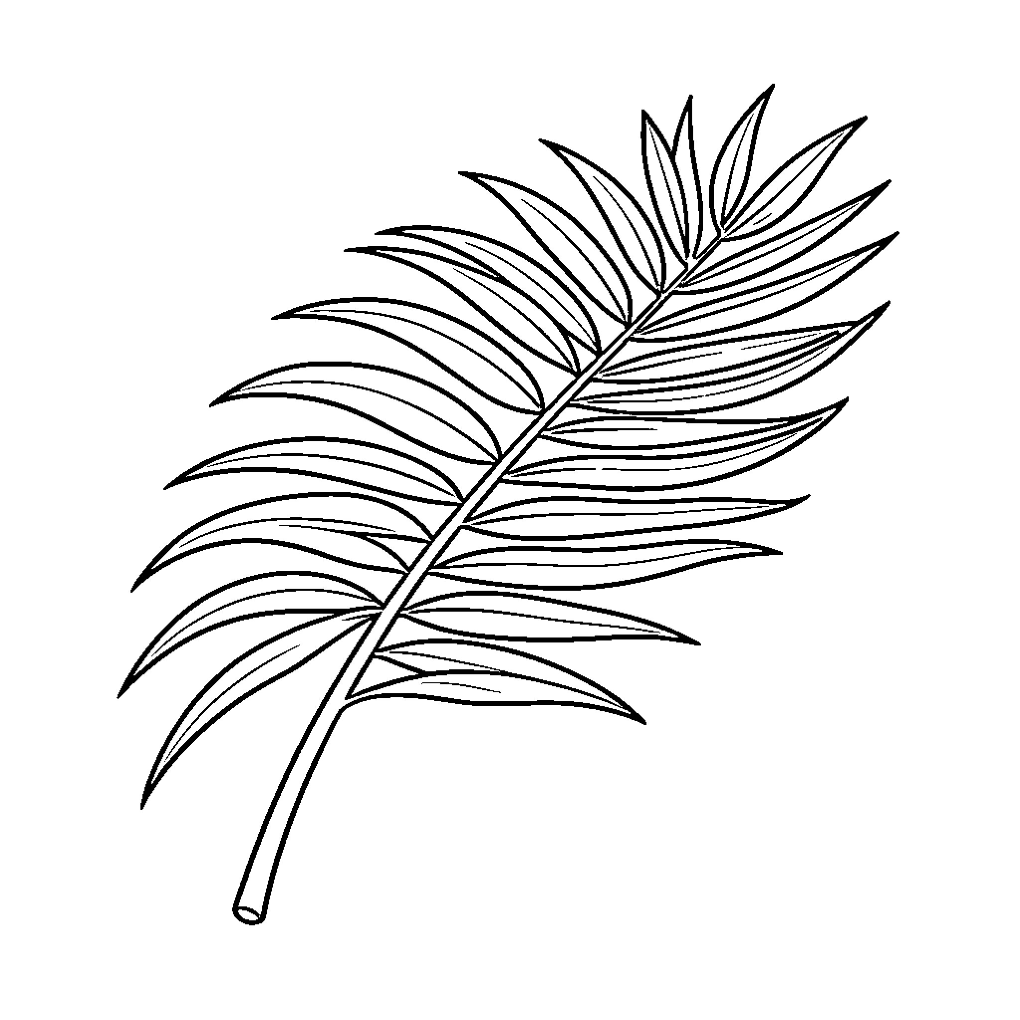 Palm Leaf Simple Line Drawing Coloring Page (free black-and-white line drawing printable PDF for all, from beginners to advanced learners, including children, teens, adults, and seniors)