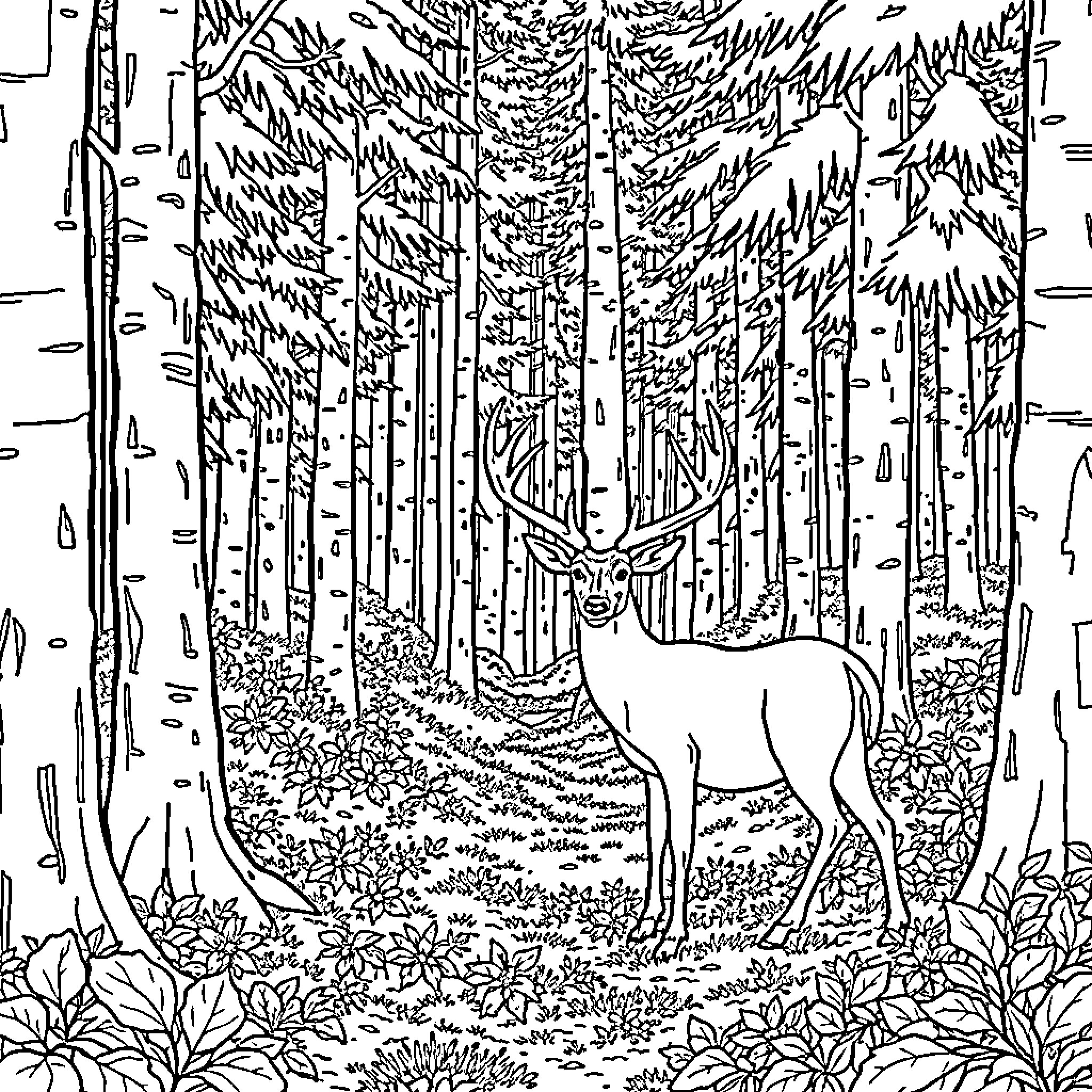 Deer standing amidst lush forest foliage Coloring Page (free black-and-white line drawing printable PDF for all, from beginners to advanced learners, including children, teens, adults, and seniors)