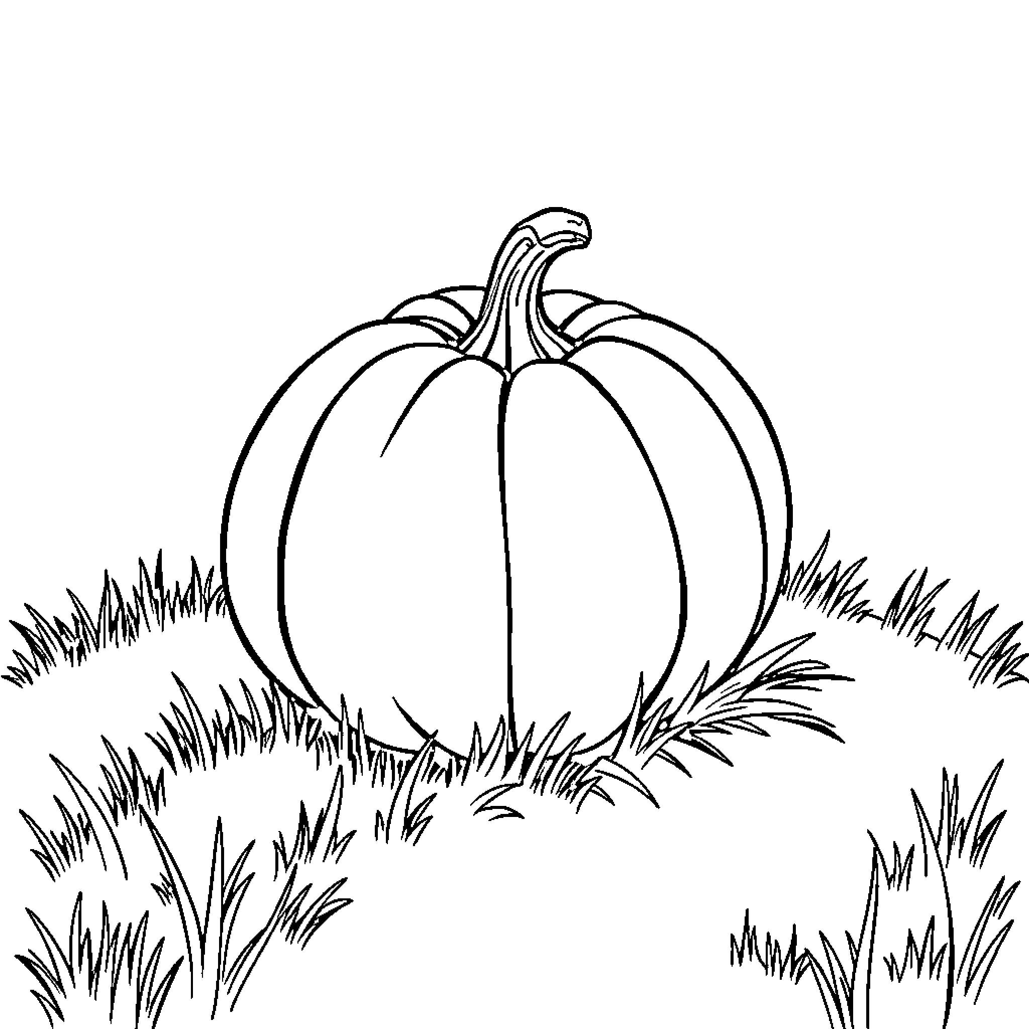 Pumpkin sitting in the autumn grass Coloring Page (free black-and-white line drawing printable PDF for all, from beginners to advanced learners, including children, teens, adults, and seniors)