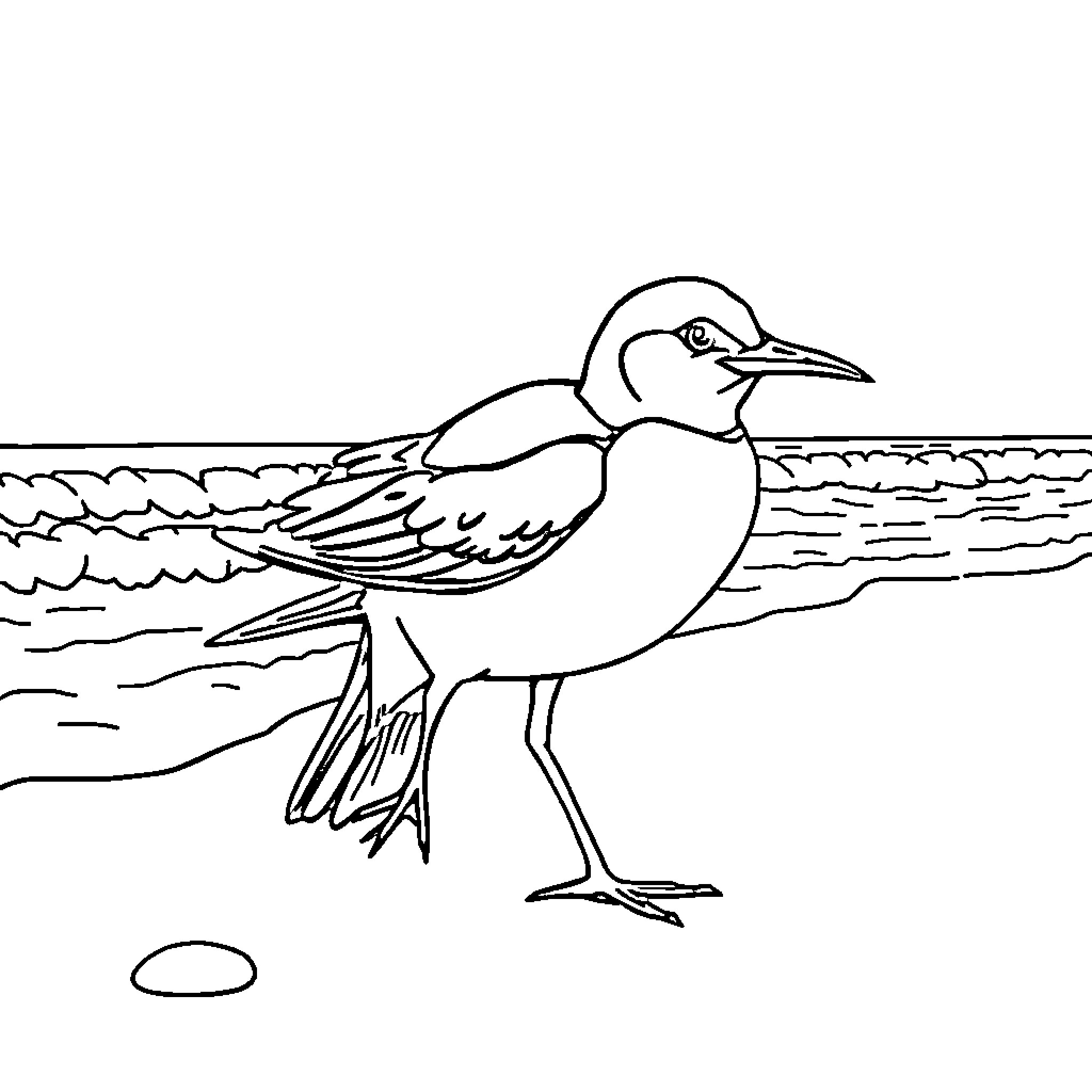 Squirrel bird by the seashore Coloring Page (free black-and-white line drawing printable PDF for all, from beginners to advanced learners, including children, teens, adults, and seniors)