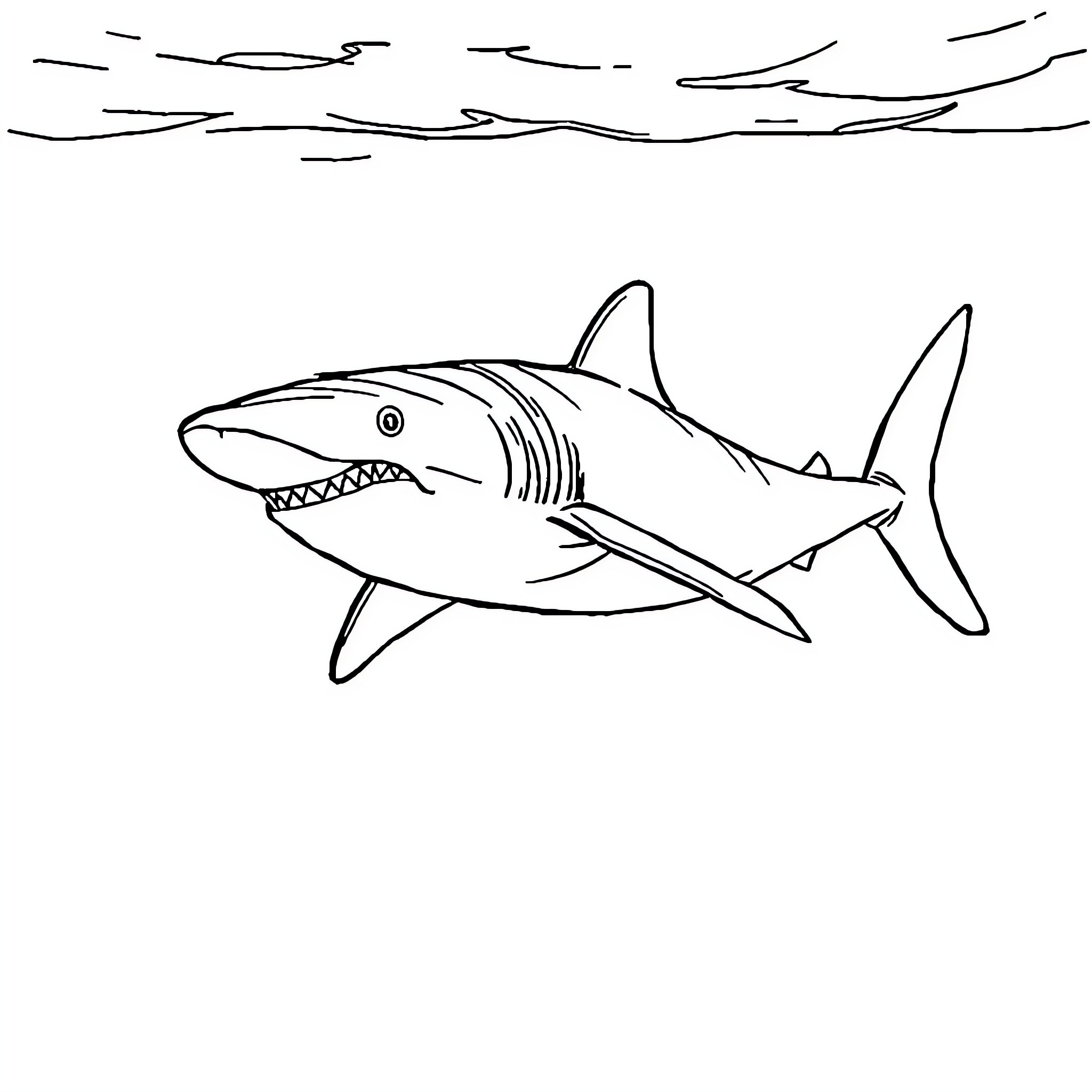Tiburon swimming in the waves Coloring Page (free black-and-white line drawing printable PDF for all, from beginners to advanced learners, including children, teens, adults, and seniors)