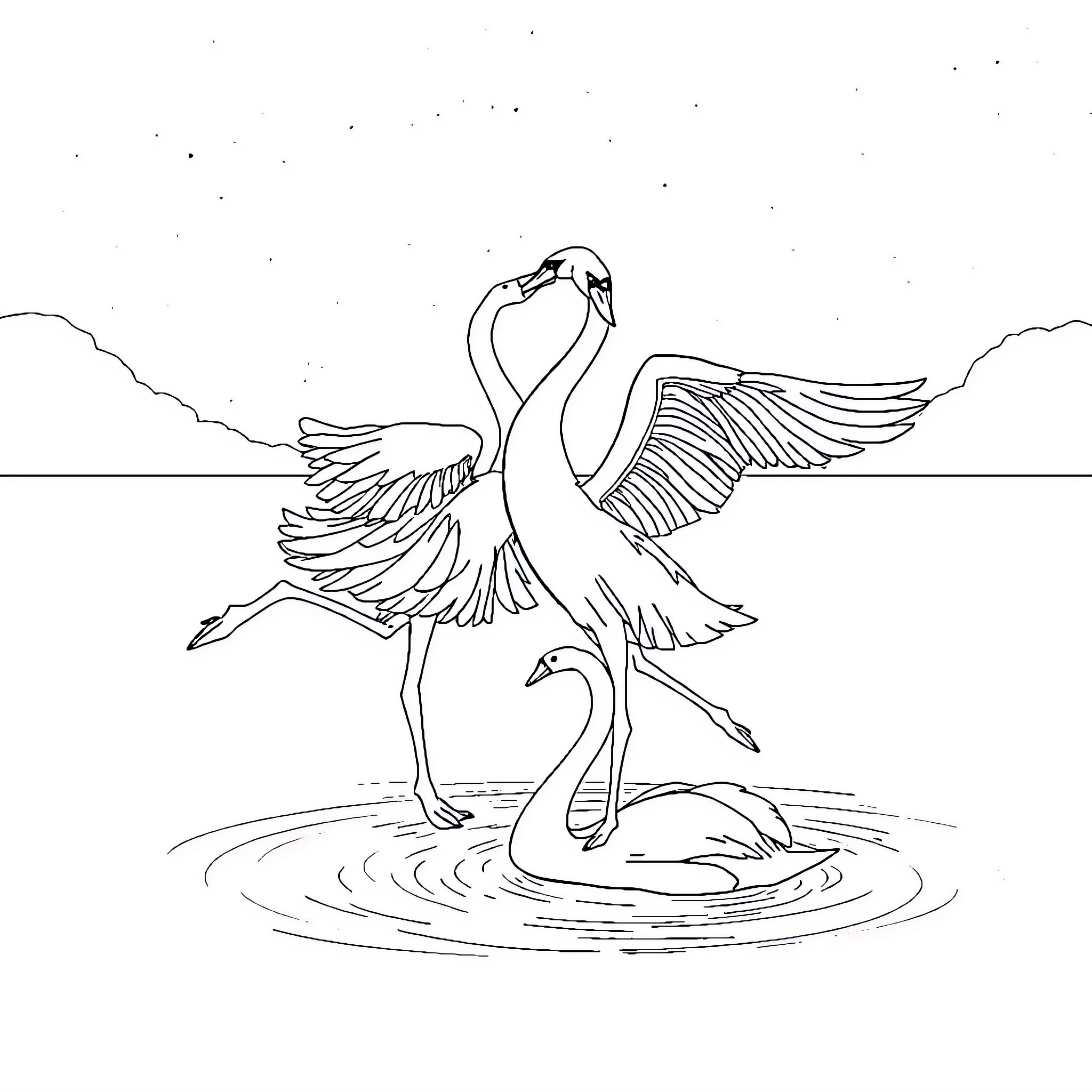 Swan dancing gracefully in the water Coloring Page (free black-and-white line drawing printable PDF for all, from beginners to advanced learners, including children, teens, adults, and seniors)