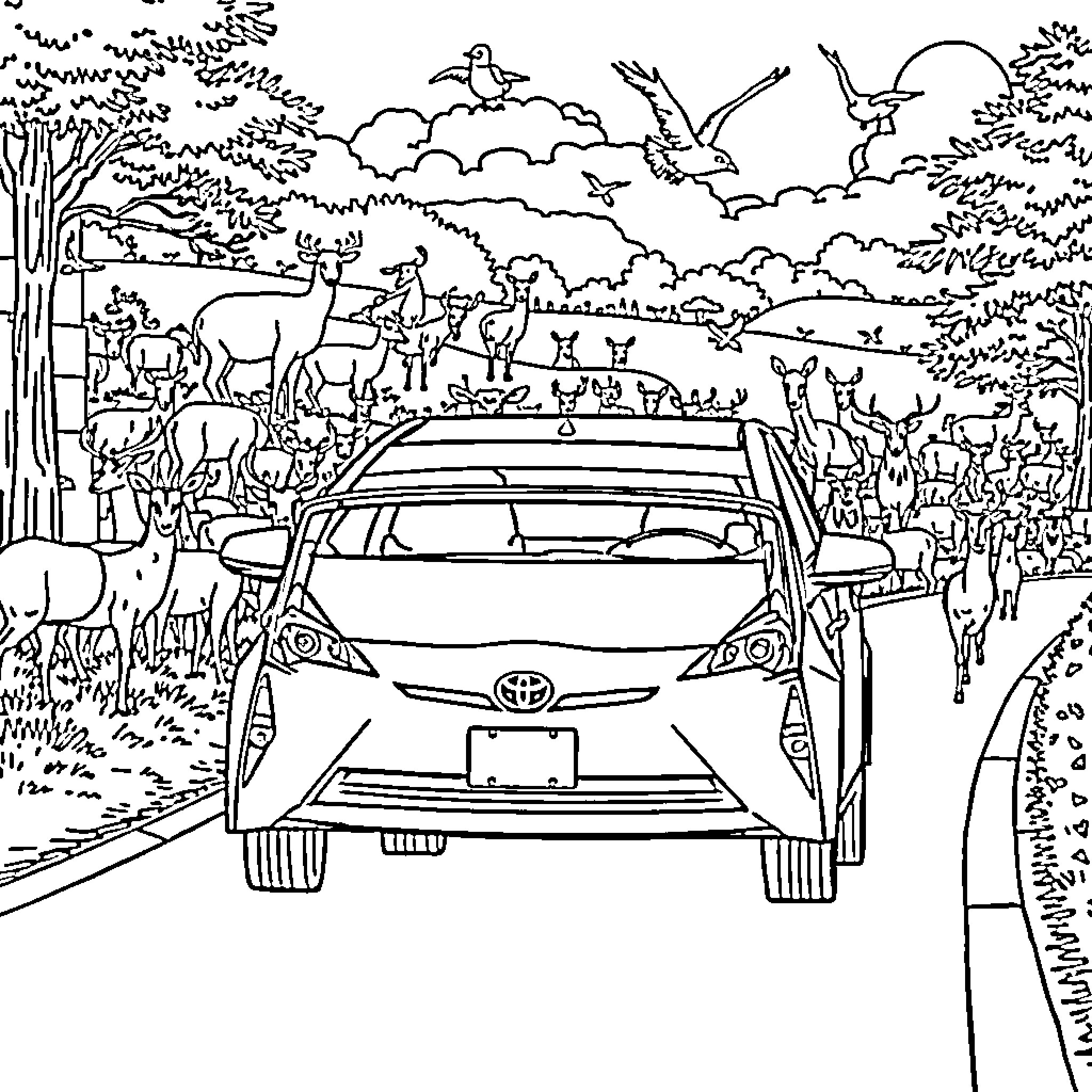 Toyota Prius driving through a wildlife sanctuary Coloring Page (free black-and-white line drawing printable PDF for all, from beginners to advanced learners, including children, teens, adults, and seniors)