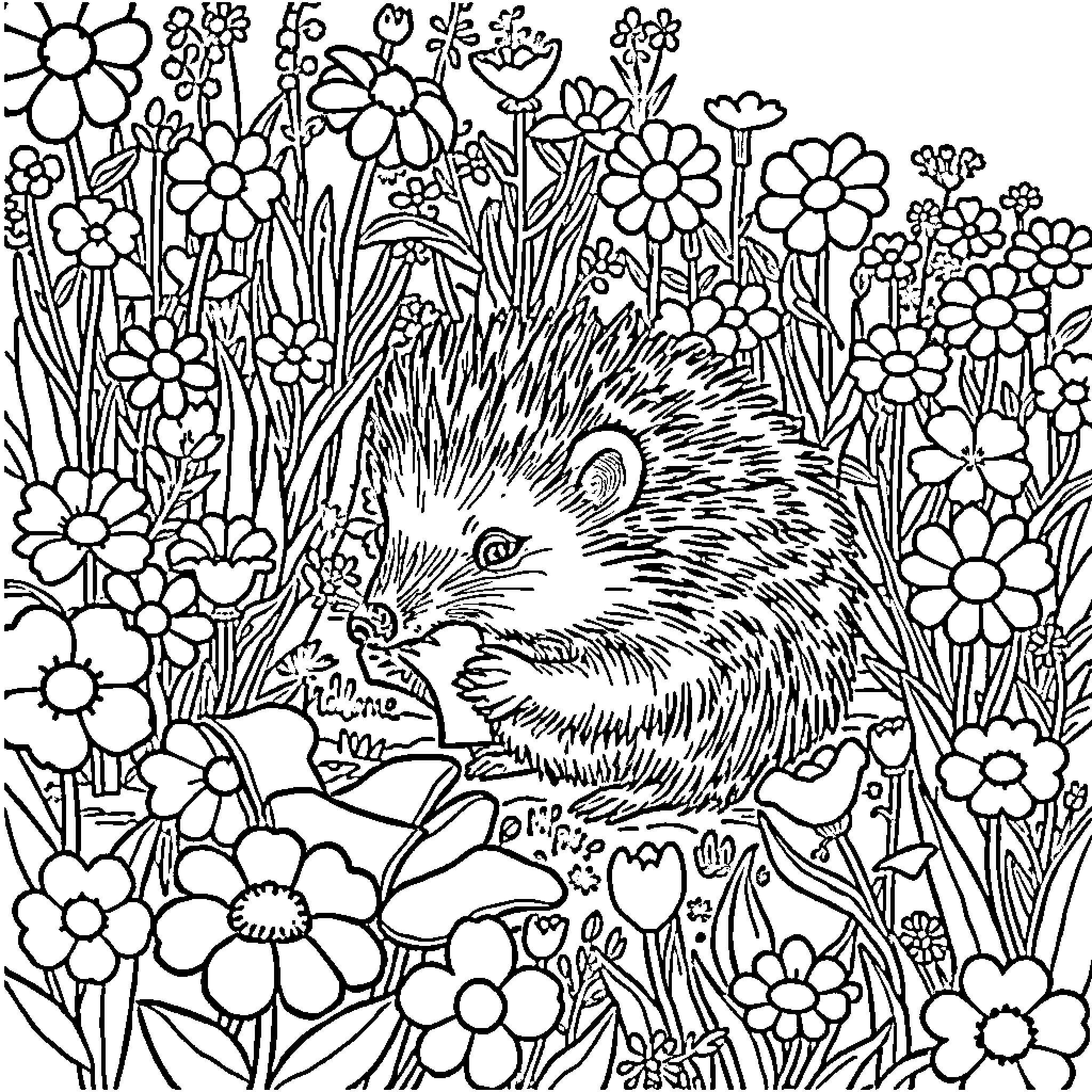 Hedgehog exploring a flowery meadow Coloring Page (free black-and-white line drawing printable PDF for all, from beginners to advanced learners, including children, teens, adults, and seniors)