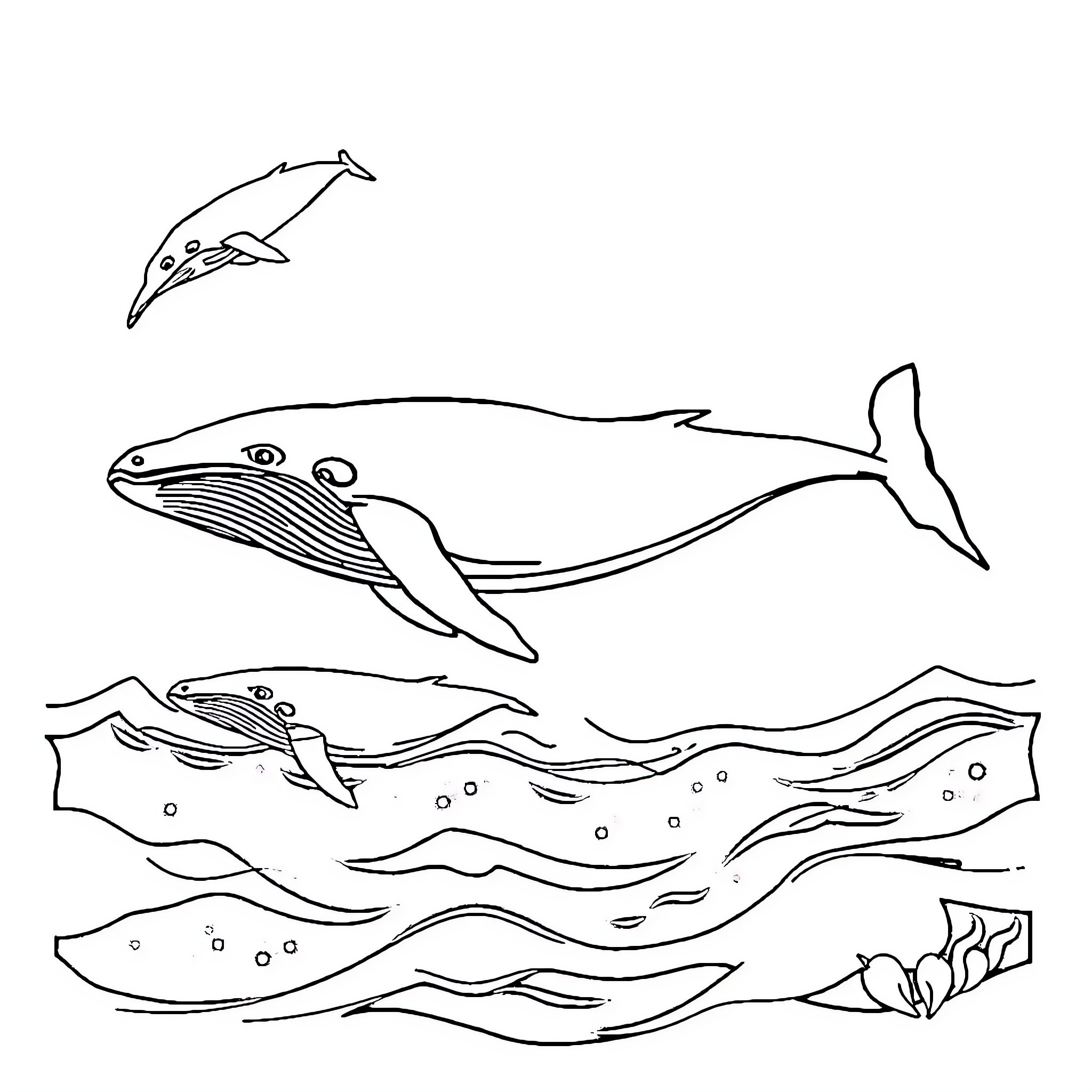 Whales swimming gracefully in the ocean Coloring Page (free black-and-white line drawing printable PDF for all, from beginners to advanced learners, including children, teens, adults, and seniors)