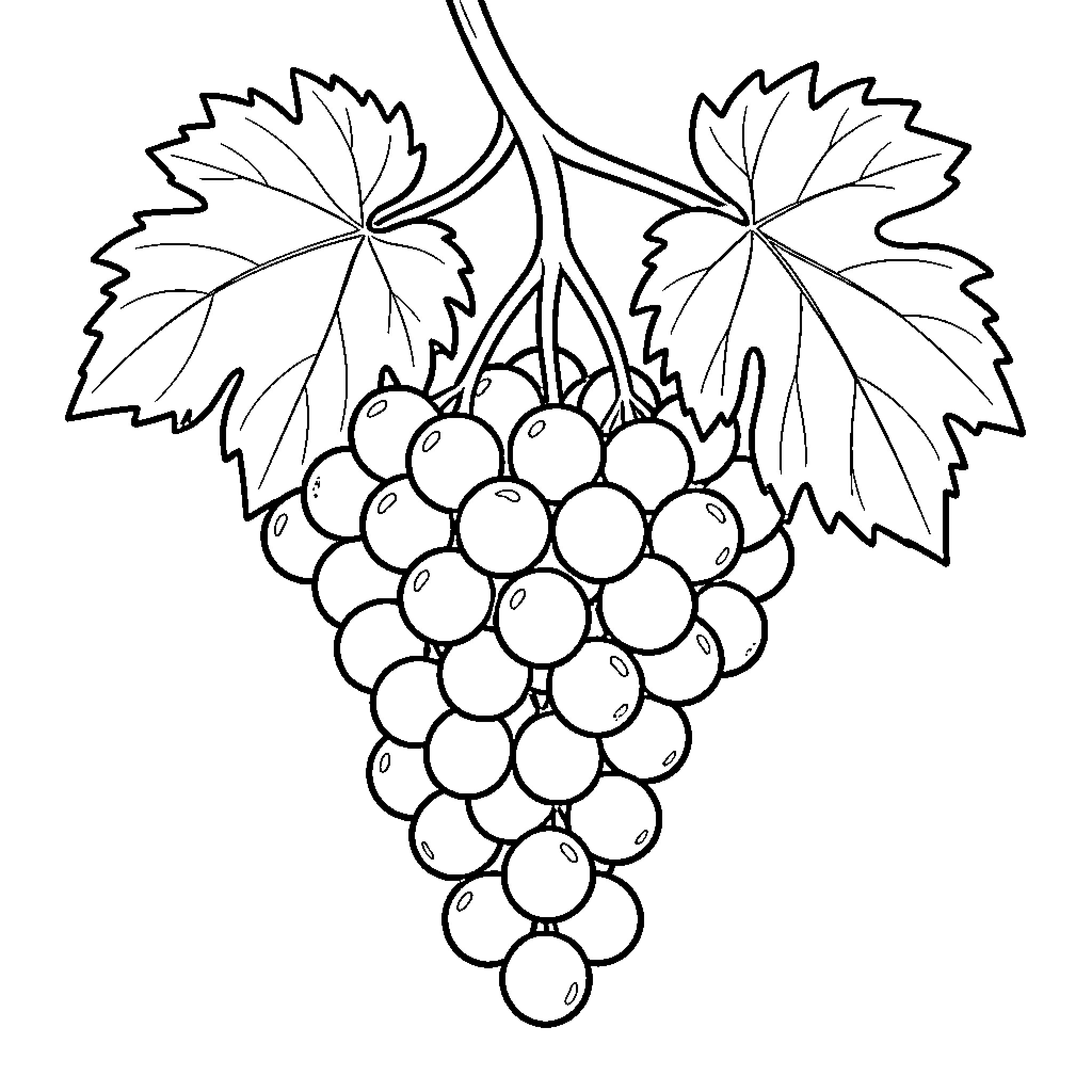 Grape cluster hanging from a vine with leaves Coloring Page (free black-and-white line drawing printable PDF for all, from beginners to advanced learners, including children, teens, adults, and seniors)