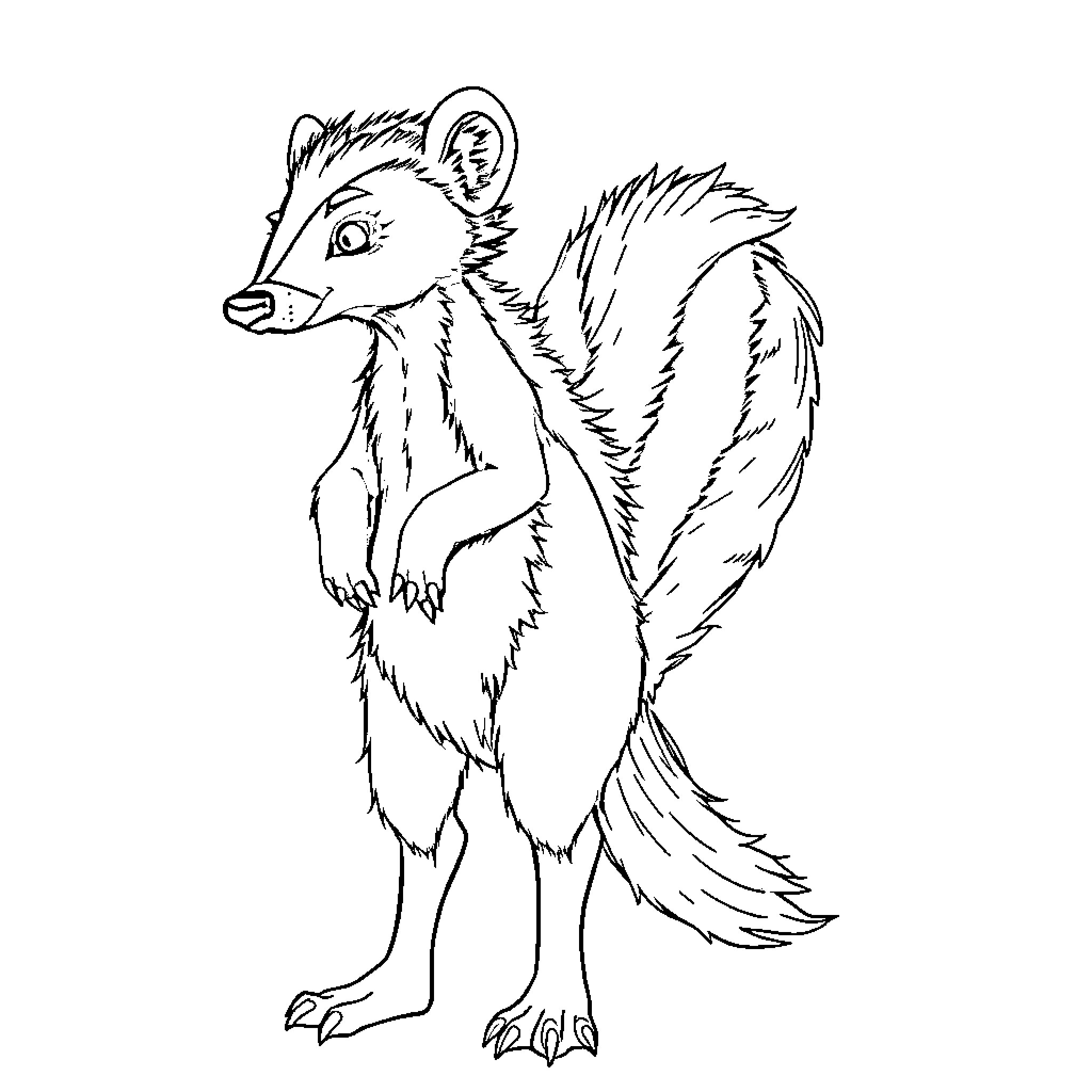 Skunk standing alert and ready Coloring Page (free black-and-white line drawing printable PDF for all, from beginners to advanced learners, including children, teens, adults, and seniors)