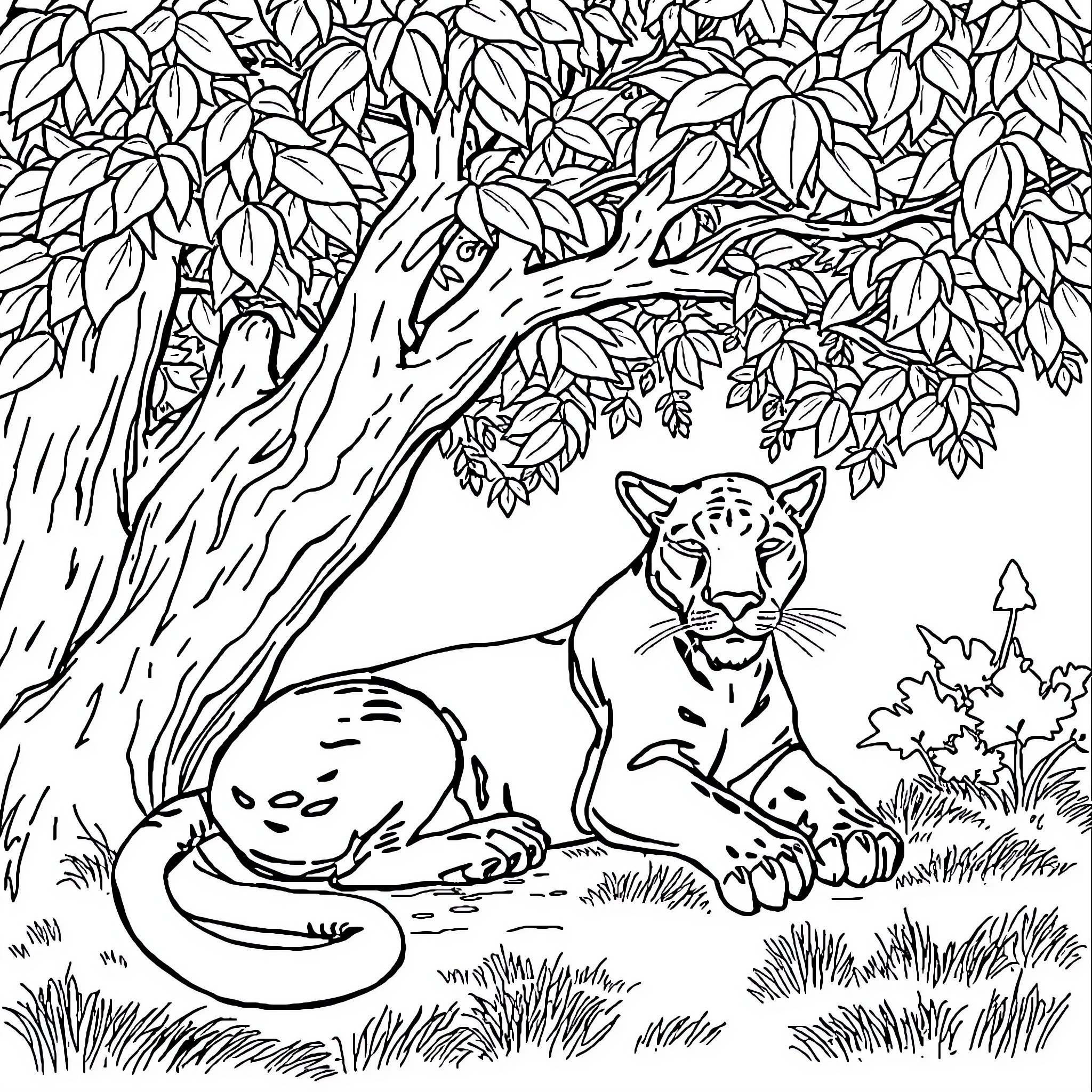 Panther resting under the tree Coloring Page (free black-and-white line drawing printable PDF for all, from beginners to advanced learners, including children, teens, adults, and seniors)