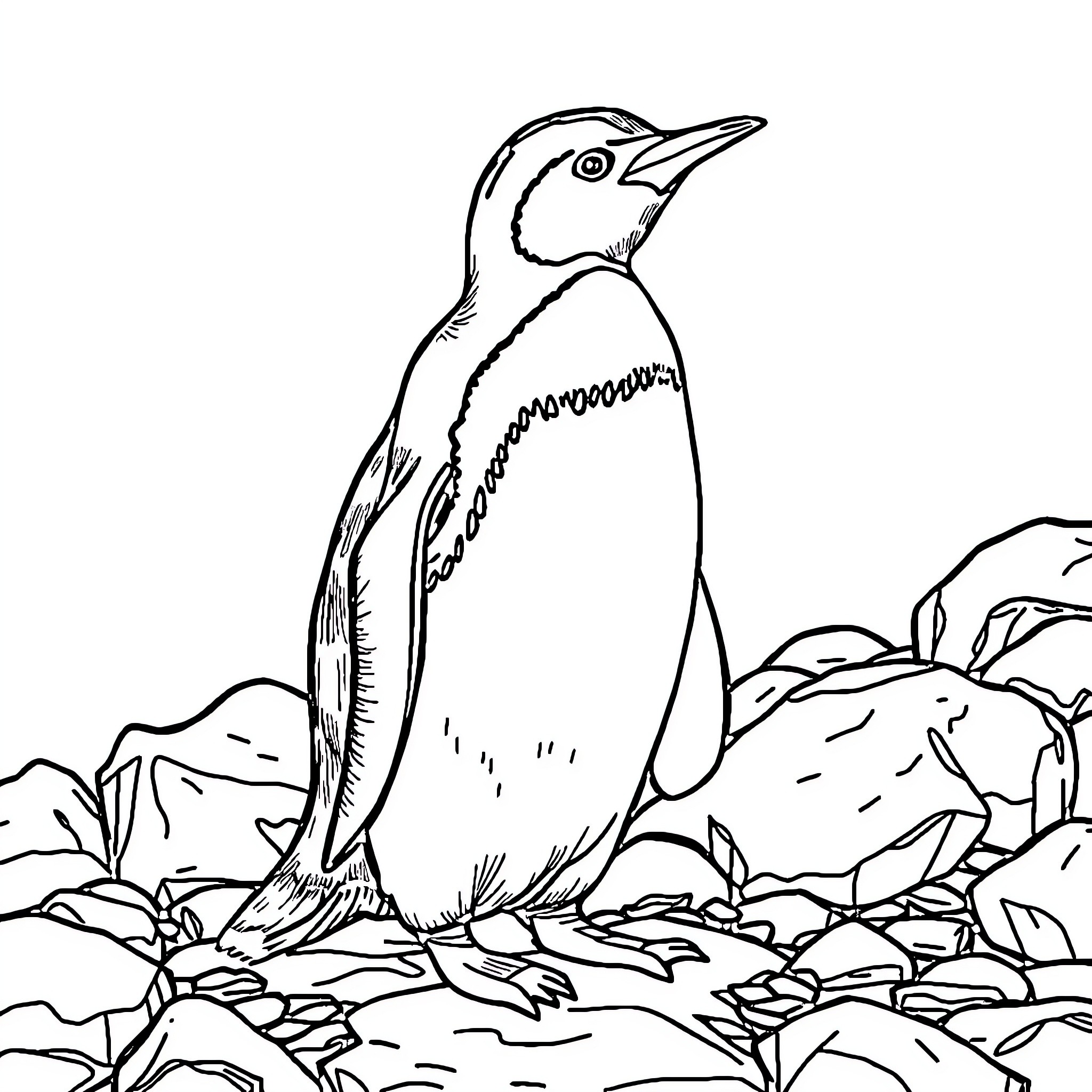 Humboldt Penguin standing amidst rocks and landscape Coloring Page (free black-and-white line drawing printable PDF for all, from beginners to advanced learners, including children, teens, adults, and seniors)