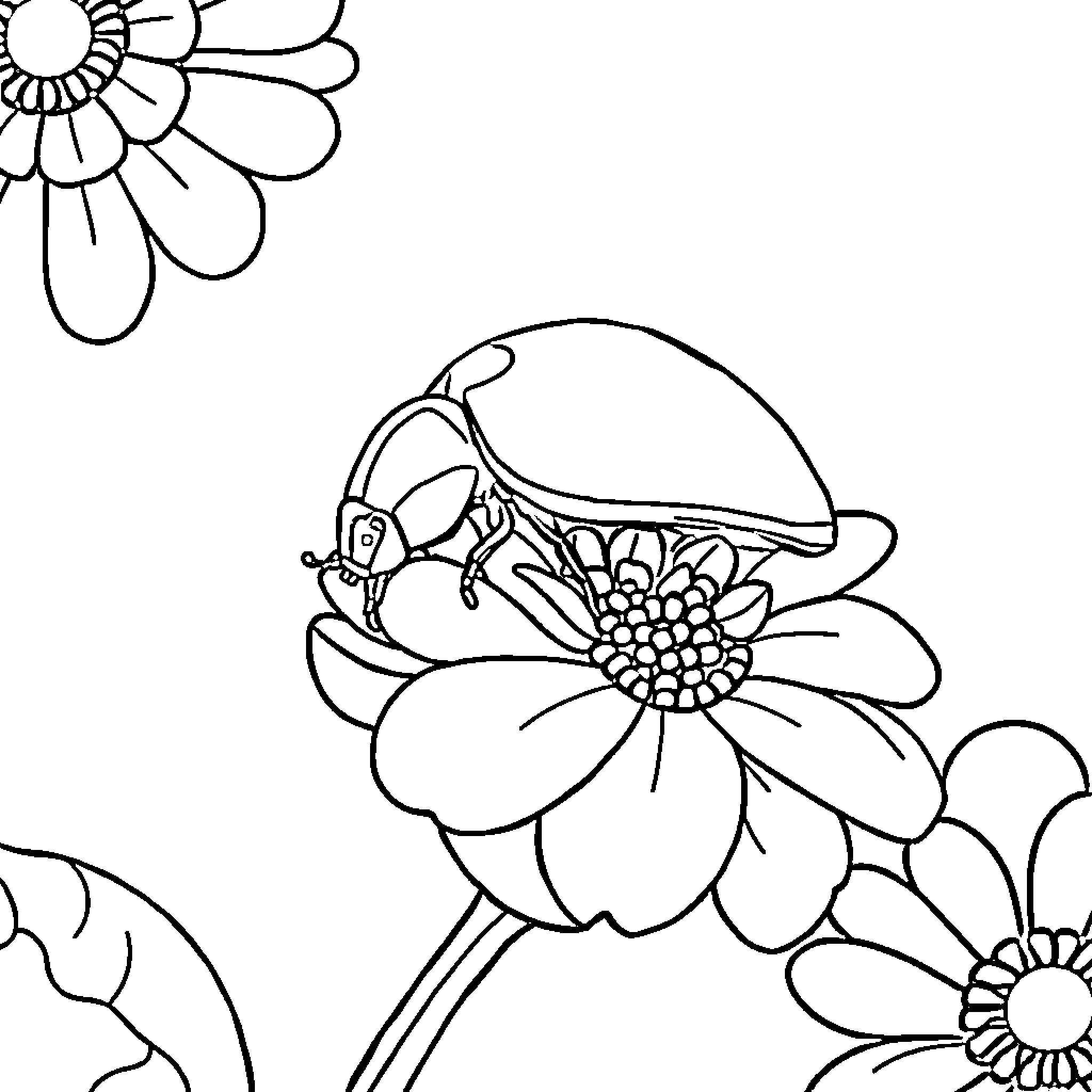 Ladybug exploring a vibrant flower garden Coloring Page (free black-and-white line drawing printable PDF for all, from beginners to advanced learners, including children, teens, adults, and seniors)
