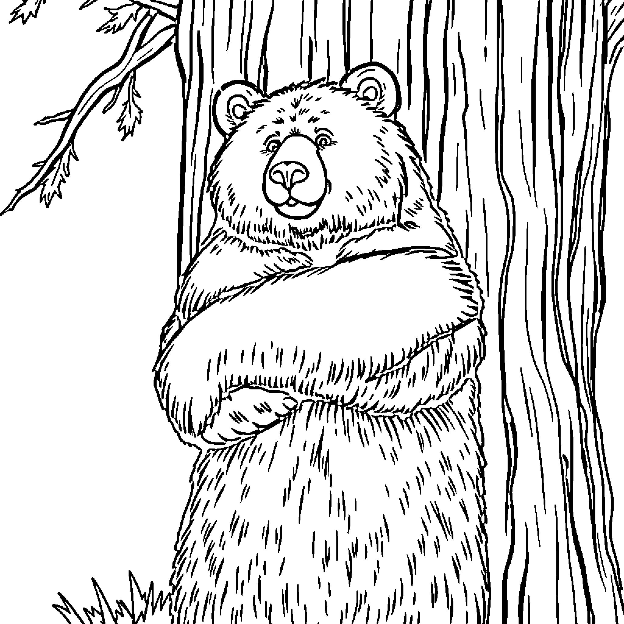 Bear peeking through the forest Coloring Page (free black-and-white line drawing printable PDF for all, from beginners to advanced learners, including children, teens, adults, and seniors)