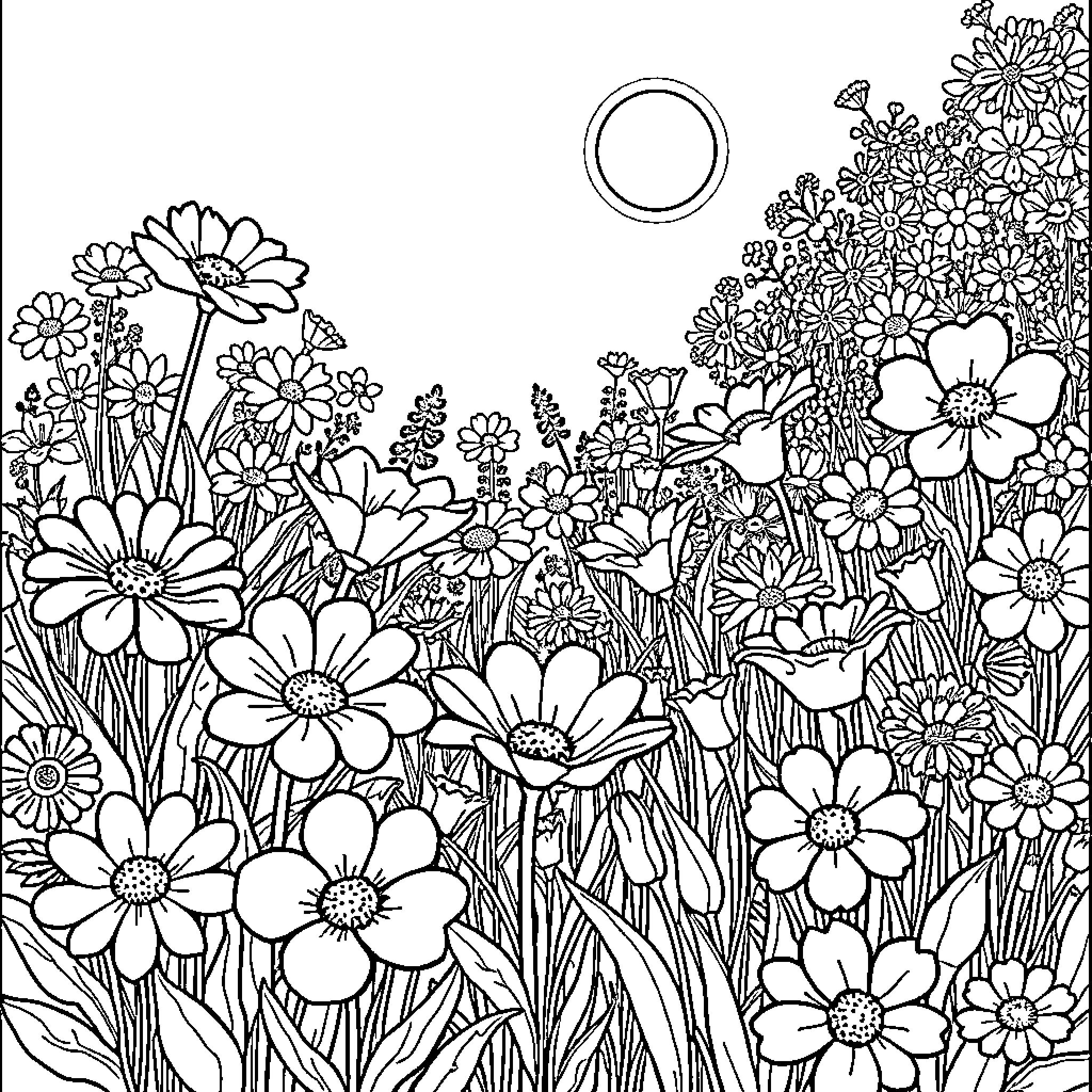 Flower Field Filled with Vibrant Blooms Coloring Page (free black-and-white line drawing printable PDF for all, from beginners to advanced learners, including children, teens, adults, and seniors)