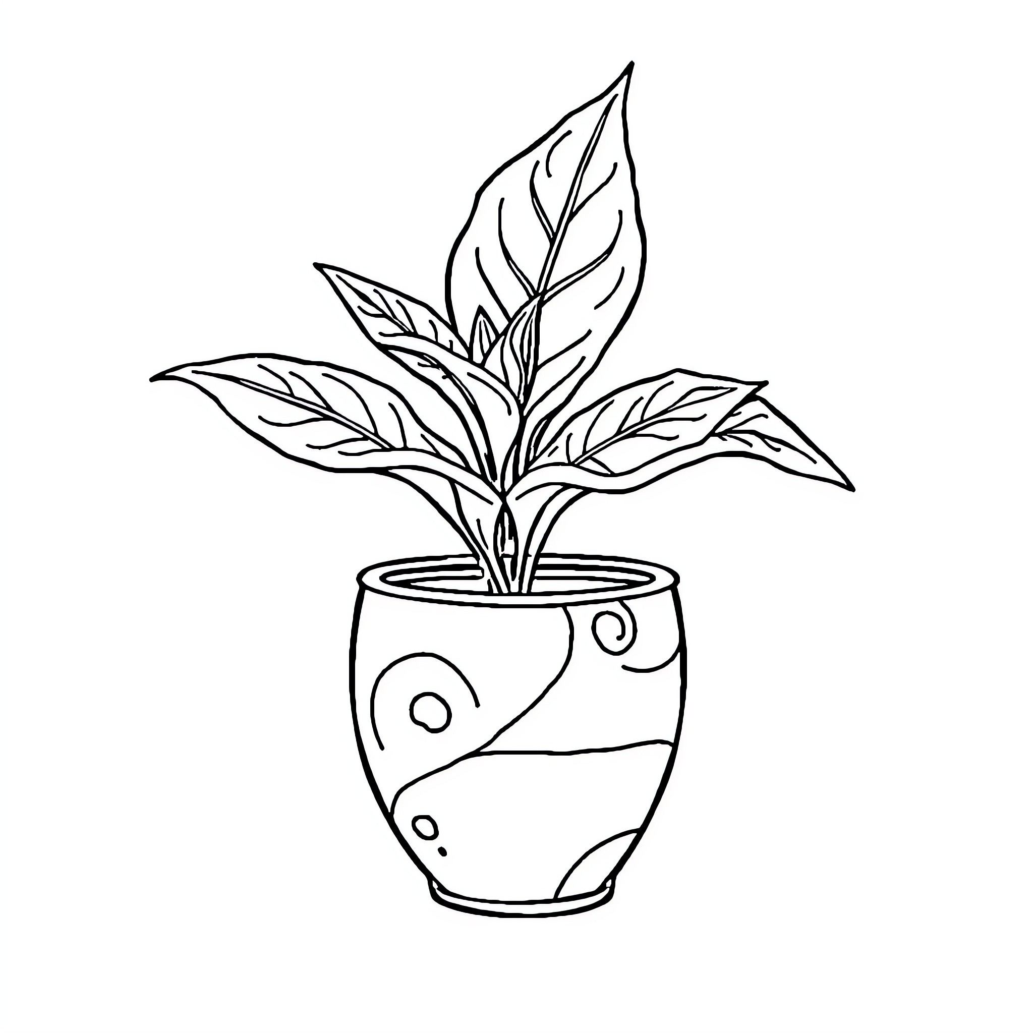 Potleaf plant in decorative planter Coloring Page (free black-and-white line drawing printable PDF for all, from beginners to advanced learners, including children, teens, adults, and seniors)