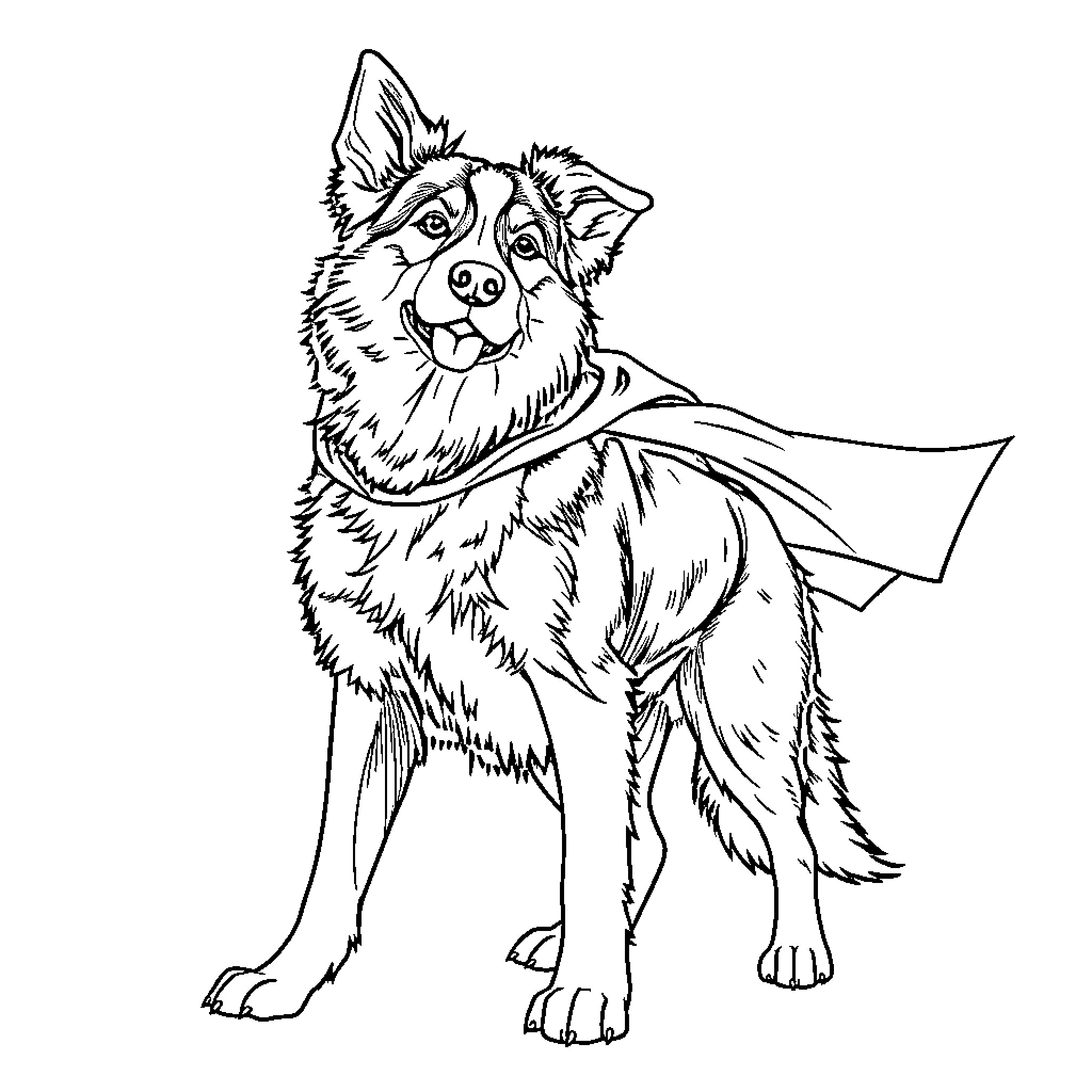 Australian Shepherd posing with confidence Coloring Page (free black-and-white line drawing printable PDF for all, from beginners to advanced learners, including children, teens, adults, and seniors)