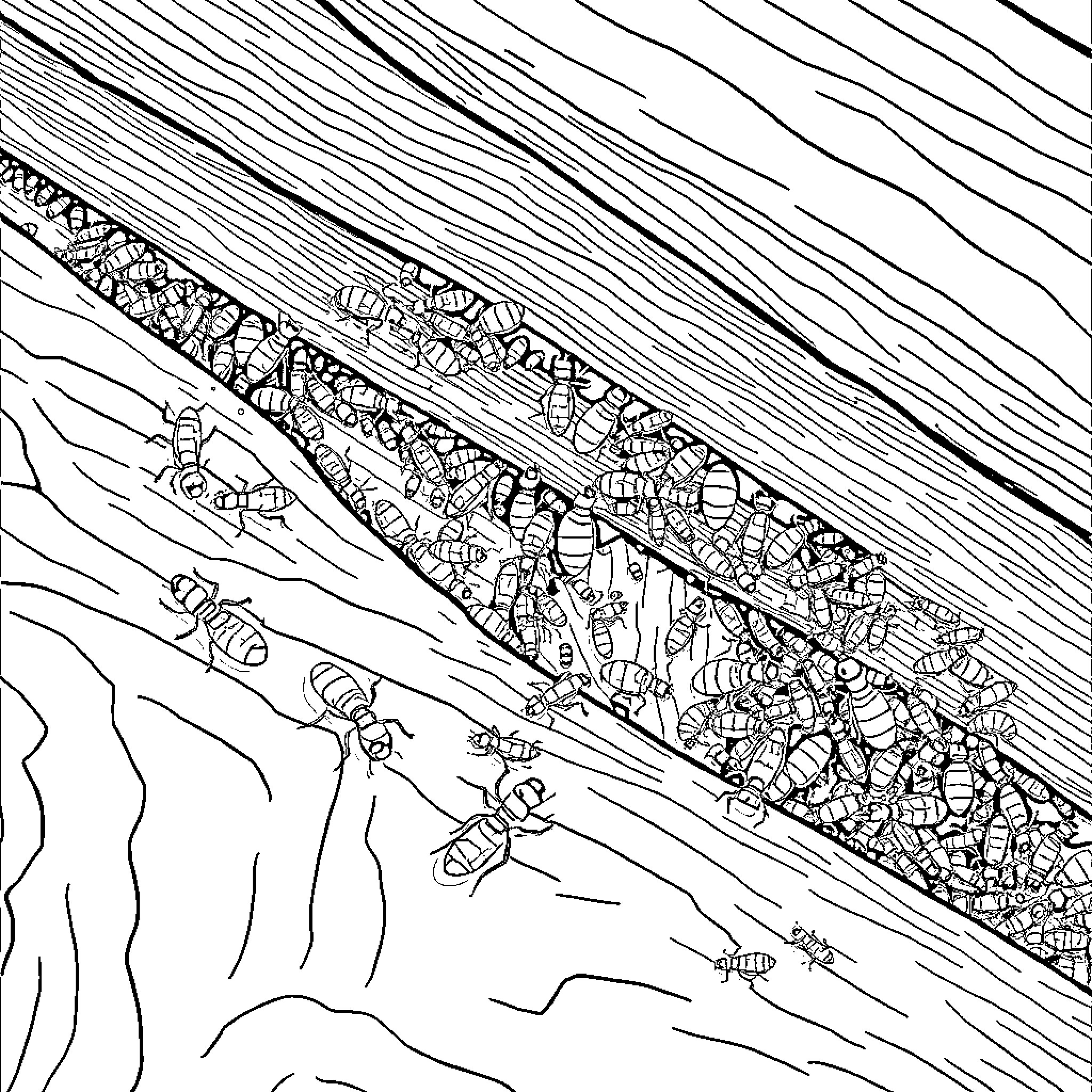 Termites exploring underground maze Coloring Page (free black-and-white line drawing printable PDF for all, from beginners to advanced learners, including children, teens, adults, and seniors)