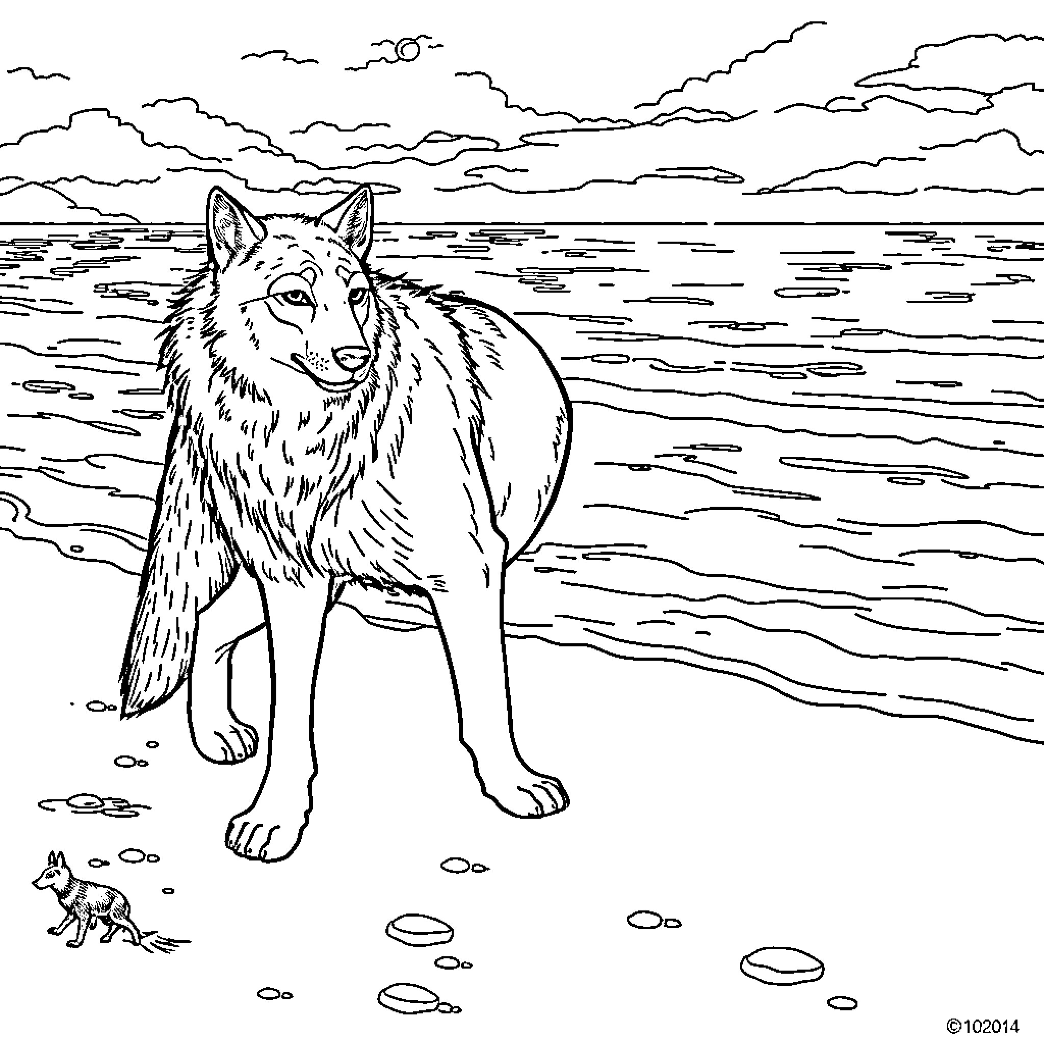 Wolf standing alert in a coastal landscape Coloring Page (free black-and-white line drawing printable PDF for all, from beginners to advanced learners, including children, teens, adults, and seniors)