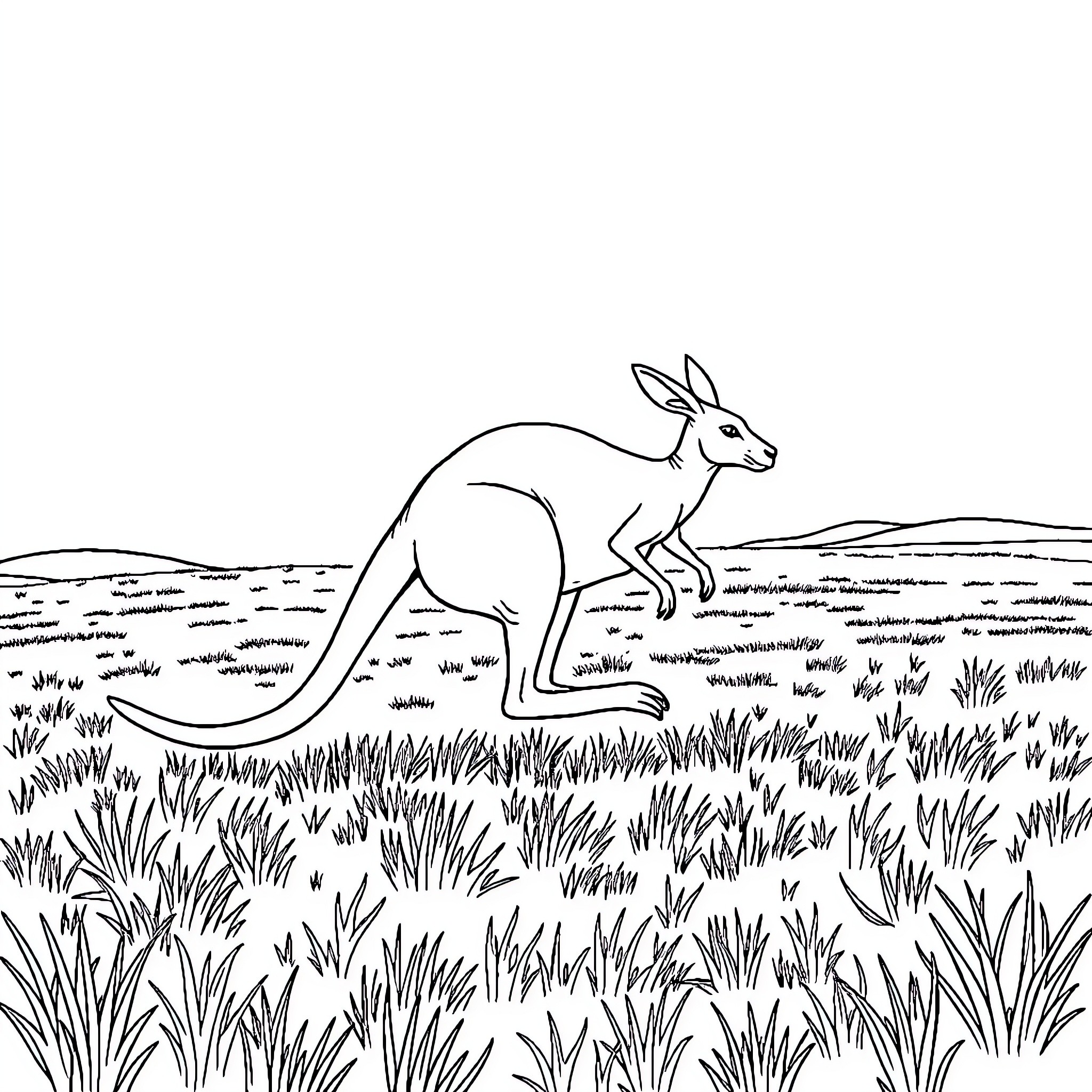 Kangaroo hopping through the grassy field Coloring Page (free black-and-white line drawing printable PDF for all, from beginners to advanced learners, including children, teens, adults, and seniors)
