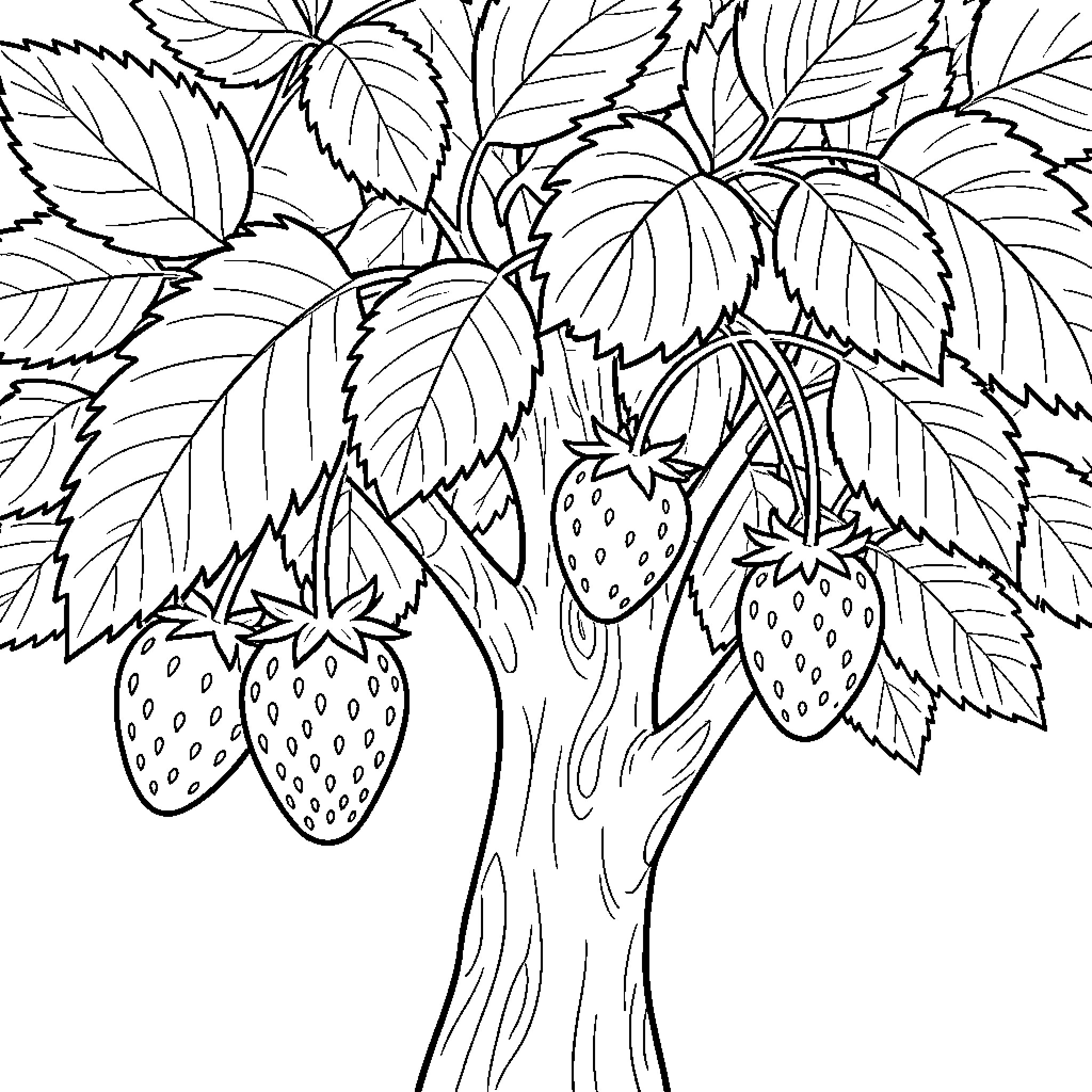 Strawberry plants bearing fruit on a leafy stem Coloring Page (free black-and-white line drawing printable PDF for all, from beginners to advanced learners, including children, teens, adults, and seniors)