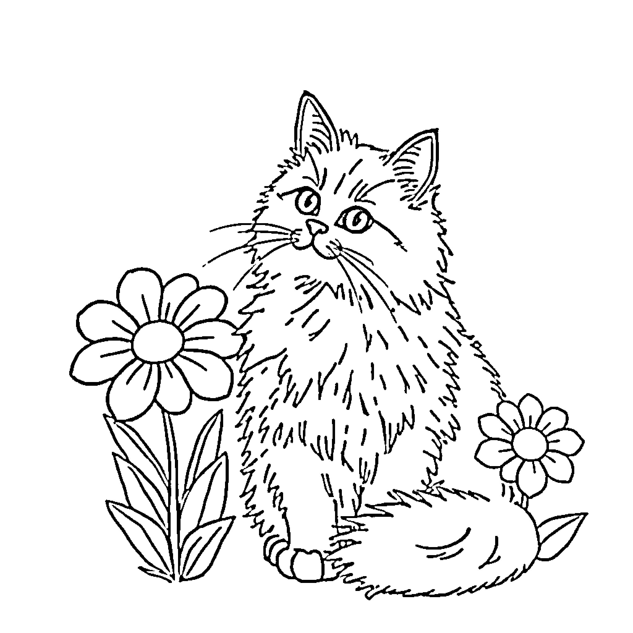 Cat resting among flowers Coloring Page (free black-and-white line drawing printable PDF for all, from beginners to advanced learners, including children, teens, adults, and seniors)