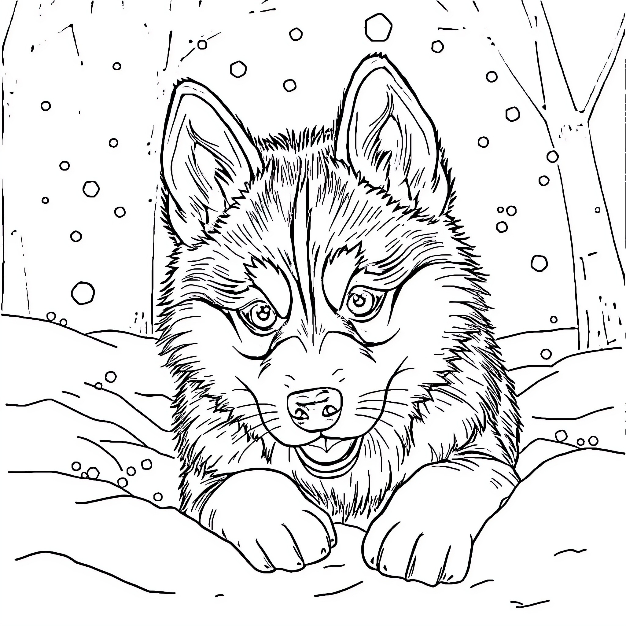 Husky gazing intently through the snowy landscape Coloring Page (free black-and-white line drawing printable PDF for all, from beginners to advanced learners, including children, teens, adults, and seniors)