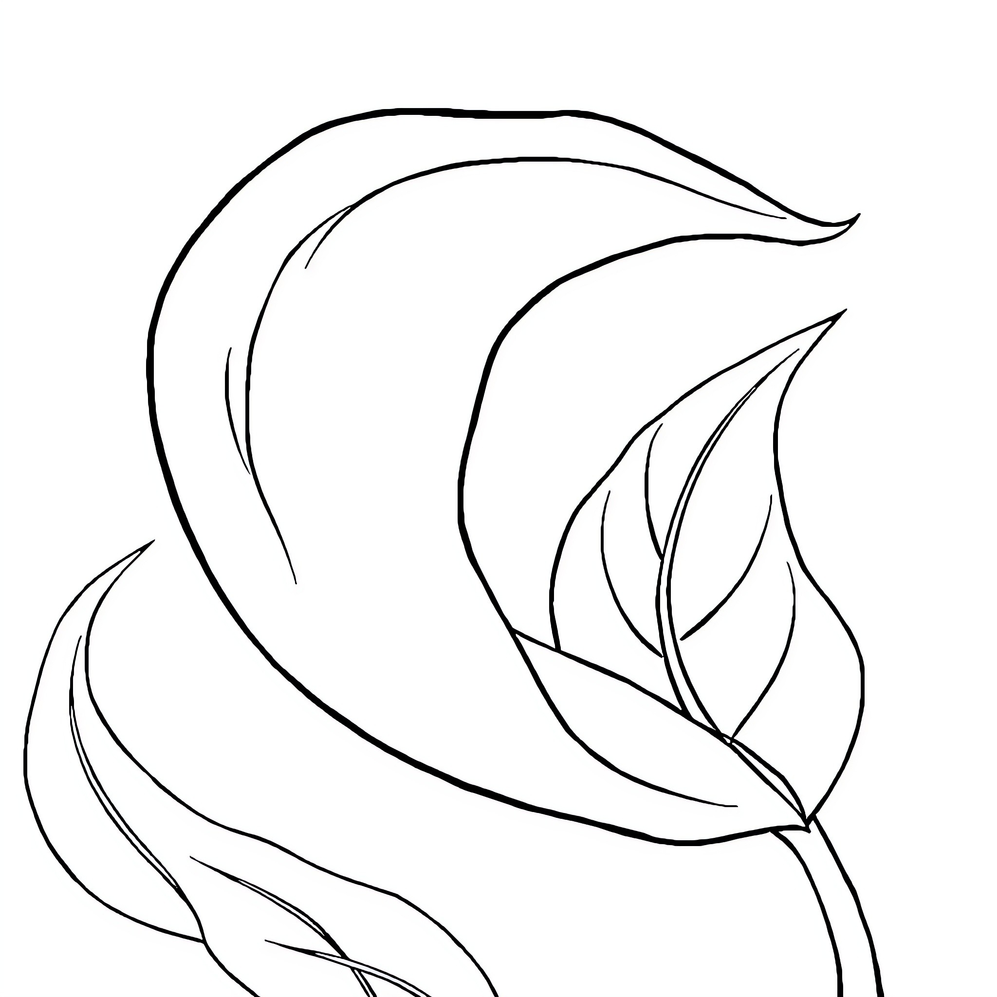 Weed Leaf flowing gracefully Coloring Page (free black-and-white line drawing printable PDF for all, from beginners to advanced learners, including children, teens, adults, and seniors)