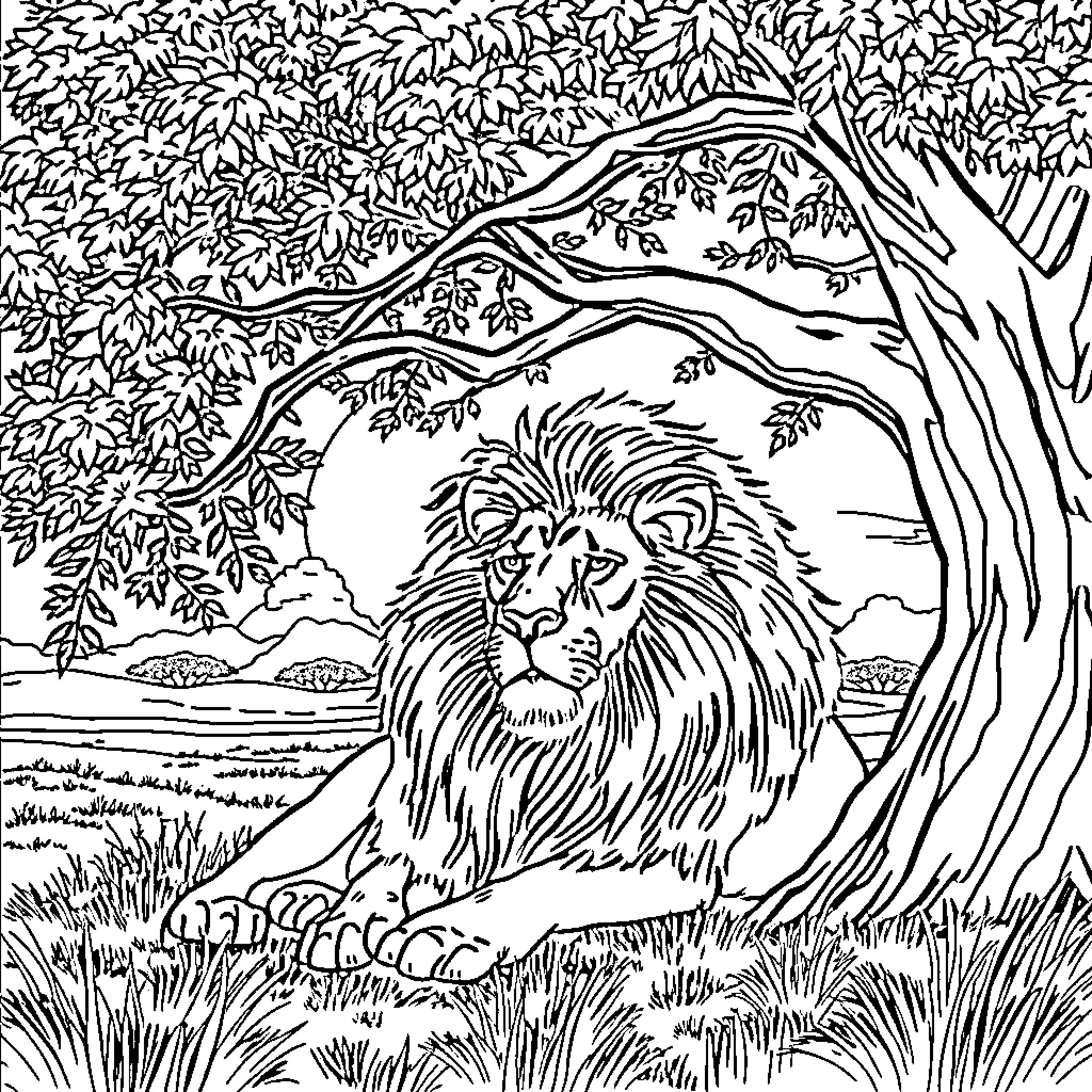 Lion resting in the serene wilderness Coloring Page (free black-and-white line drawing printable PDF for all, from beginners to advanced learners, including children, teens, adults, and seniors)