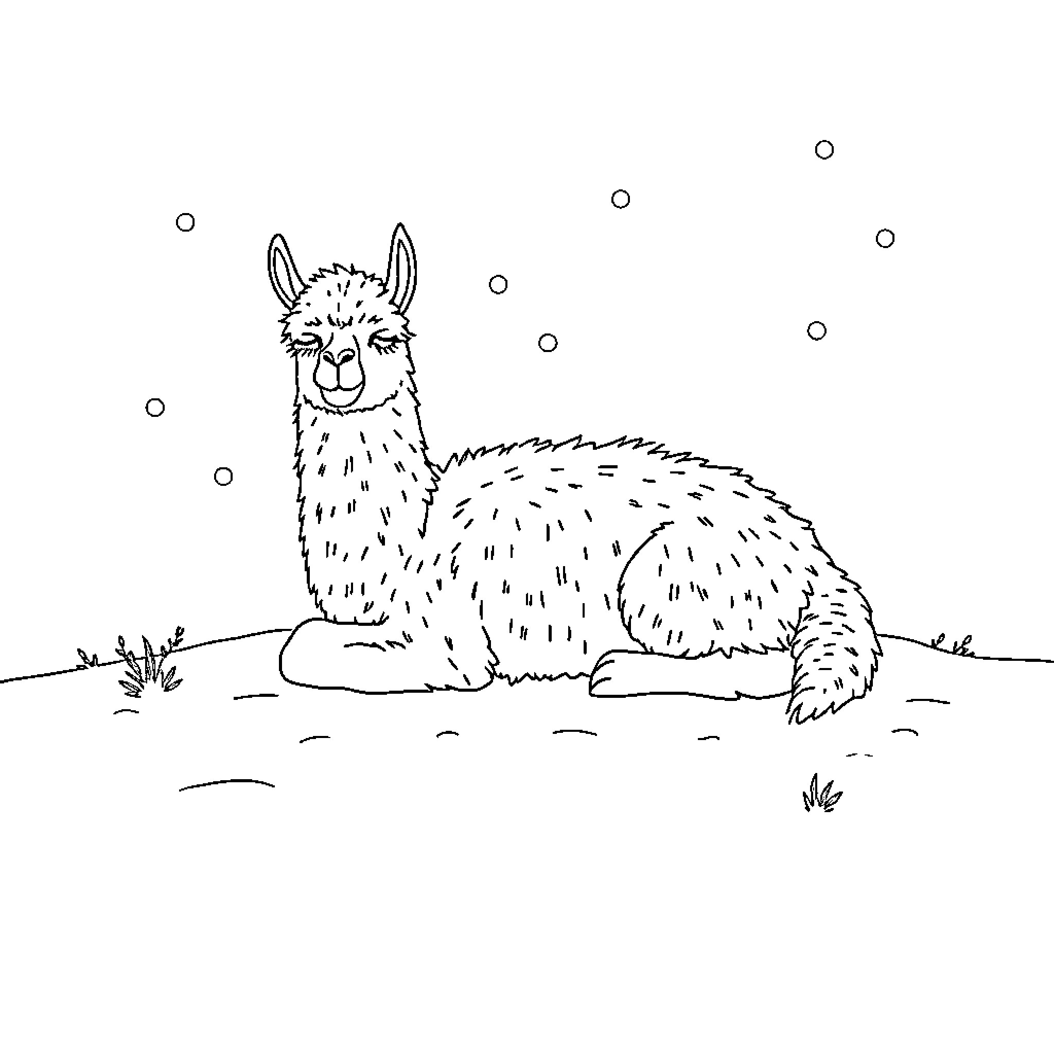 Alpaca relaxing peacefully in the snow Coloring Page (free black-and-white line drawing printable PDF for all, from beginners to advanced learners, including children, teens, adults, and seniors)