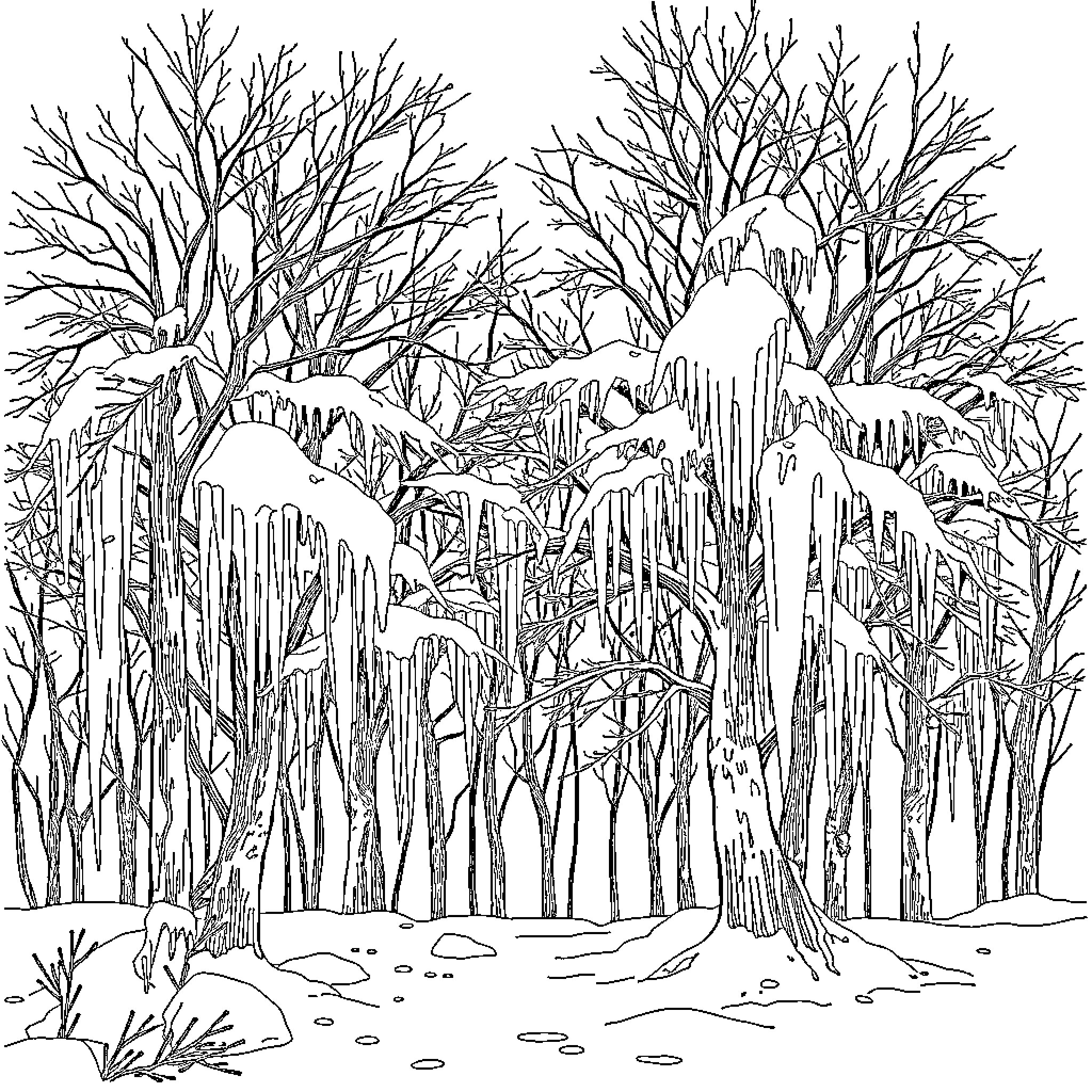 Privilege of a Snowy Winter Wonderland Coloring Page (free black-and-white line drawing printable PDF for all, from beginners to advanced learners, including children, teens, adults, and seniors)