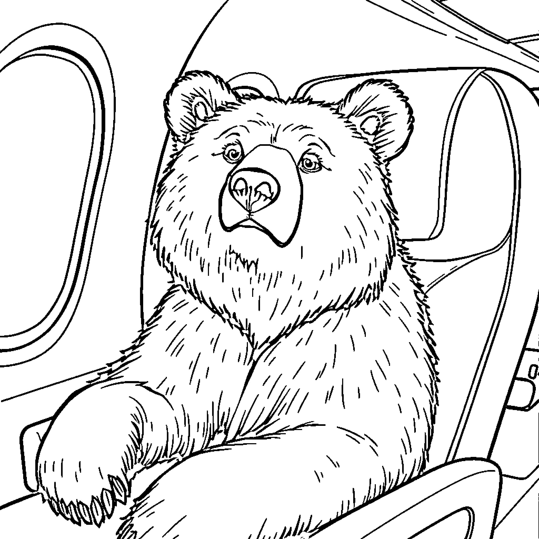 Grizzly Bear riding in a vehicle Coloring Page (free black-and-white line drawing printable PDF for all, from beginners to advanced learners, including children, teens, adults, and seniors)