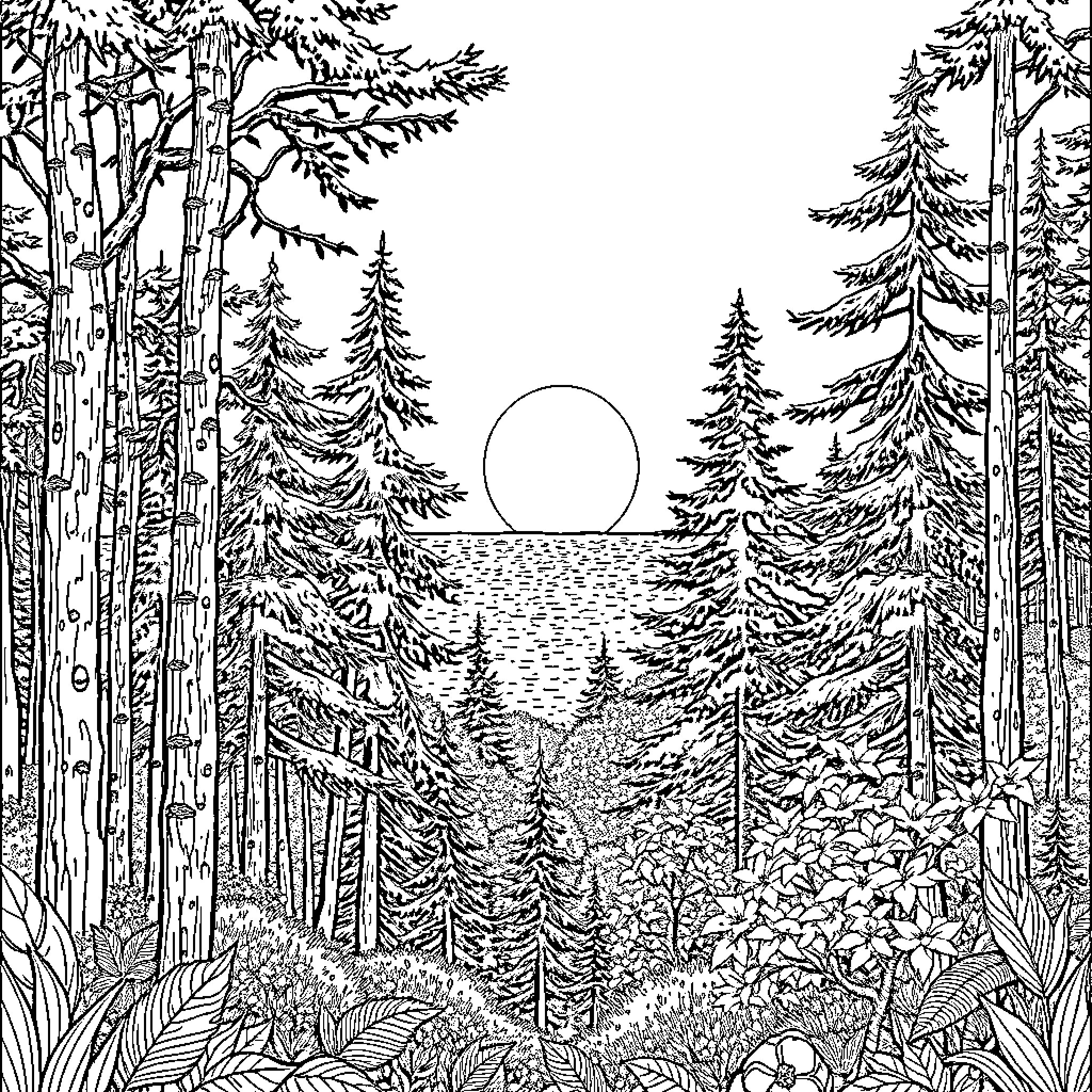 Sun Setting Over the Snowy Forest Landscape Coloring Page (free black-and-white line drawing printable PDF for all, from beginners to advanced learners, including children, teens, adults, and seniors)