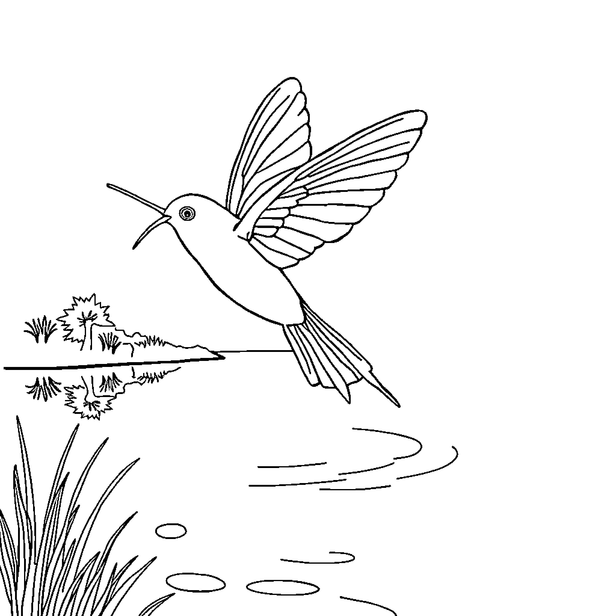 Dragonfly hovering over a pond Coloring Page (free black-and-white line drawing printable PDF for all, from beginners to advanced learners, including children, teens, adults, and seniors)
