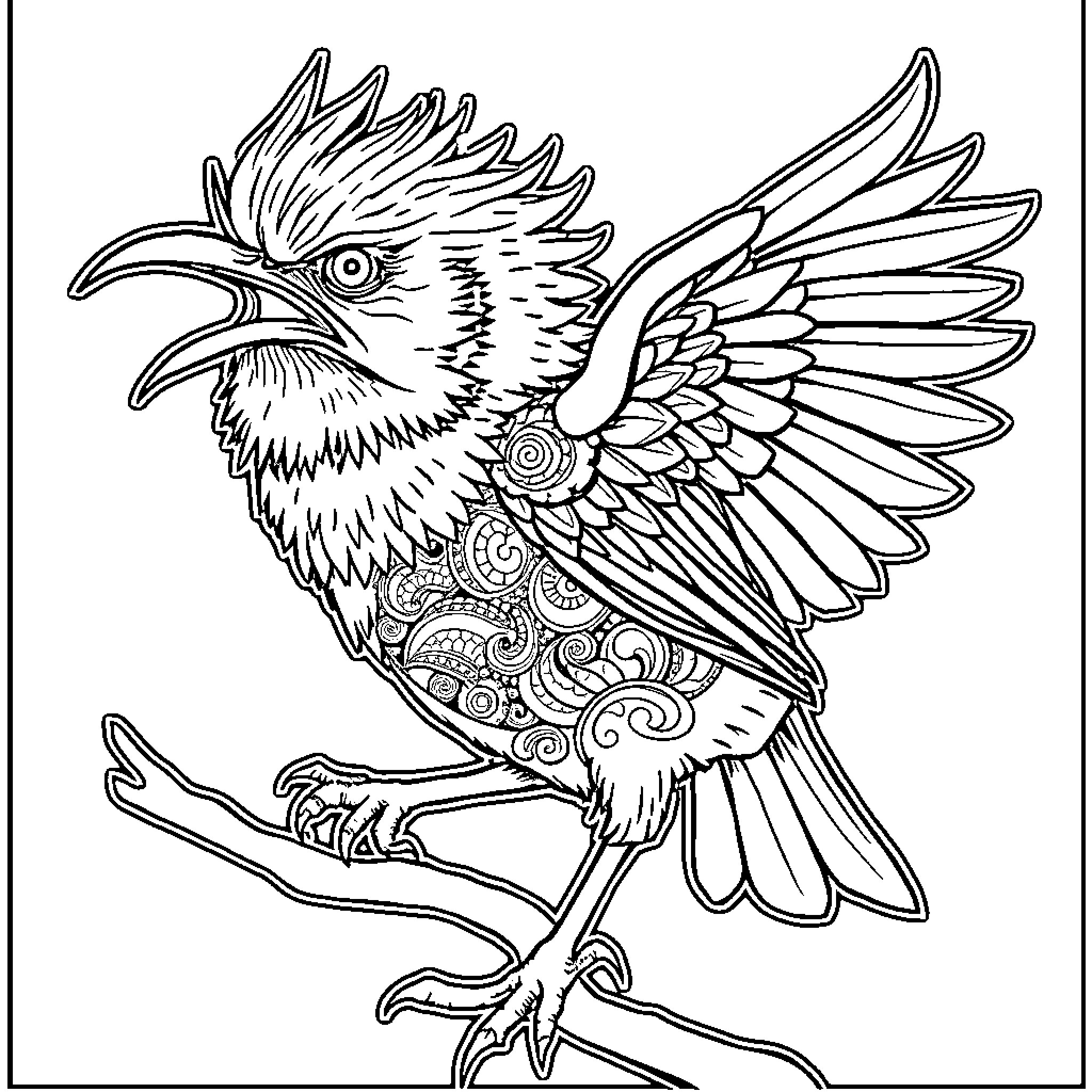 Fantail bird with intricate patterned wings Coloring Page (free black-and-white line drawing printable PDF for all, from beginners to advanced learners, including children, teens, adults, and seniors)