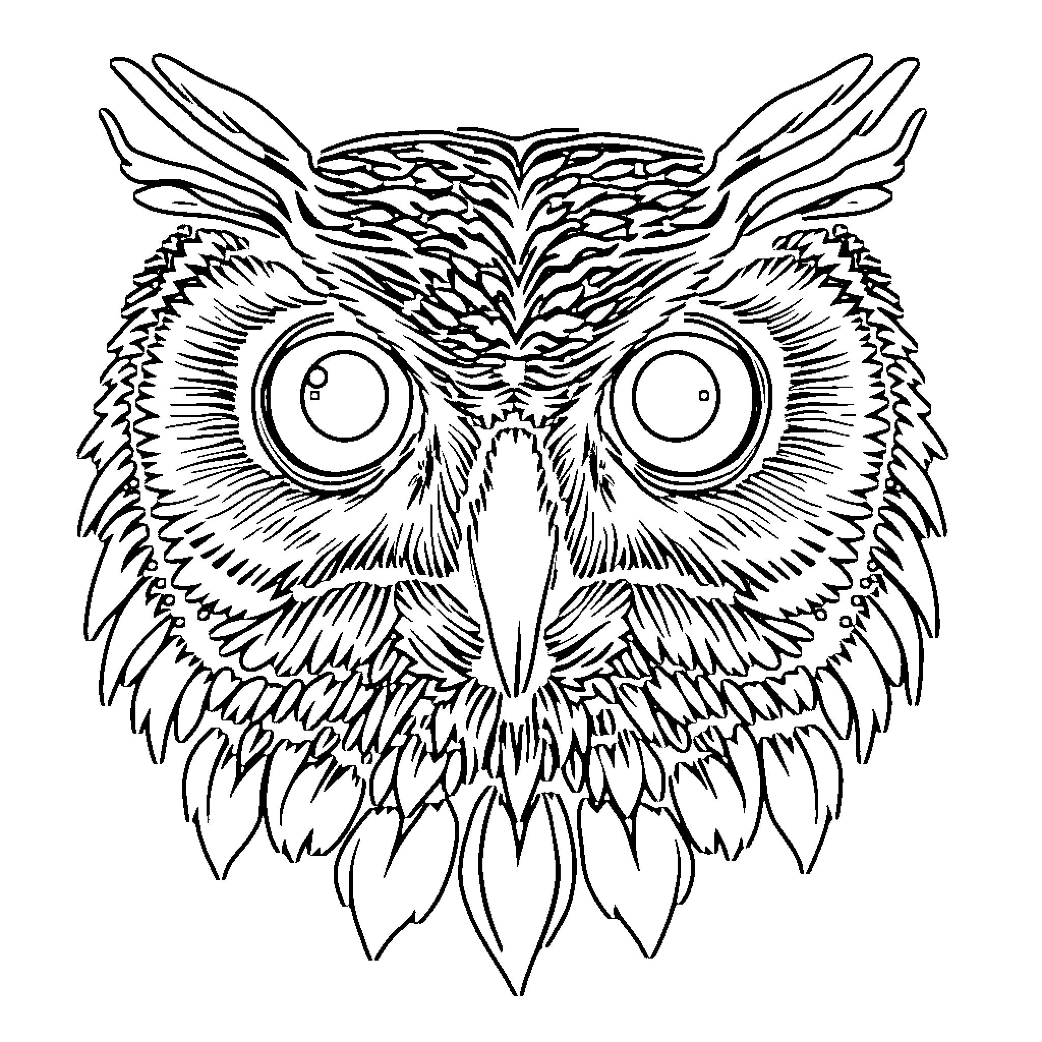 Owl with Captivating Gaze Coloring Page (free black-and-white line drawing printable PDF for all, from beginners to advanced learners, including children, teens, adults, and seniors)
