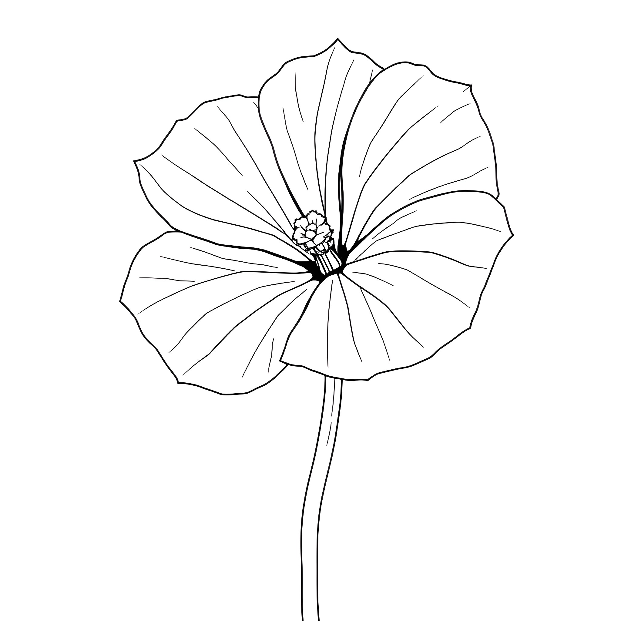 Ipomoea Purpurea flower in simple outline Coloring Page (free black-and-white line drawing printable PDF for all, from beginners to advanced learners, including children, teens, adults, and seniors)