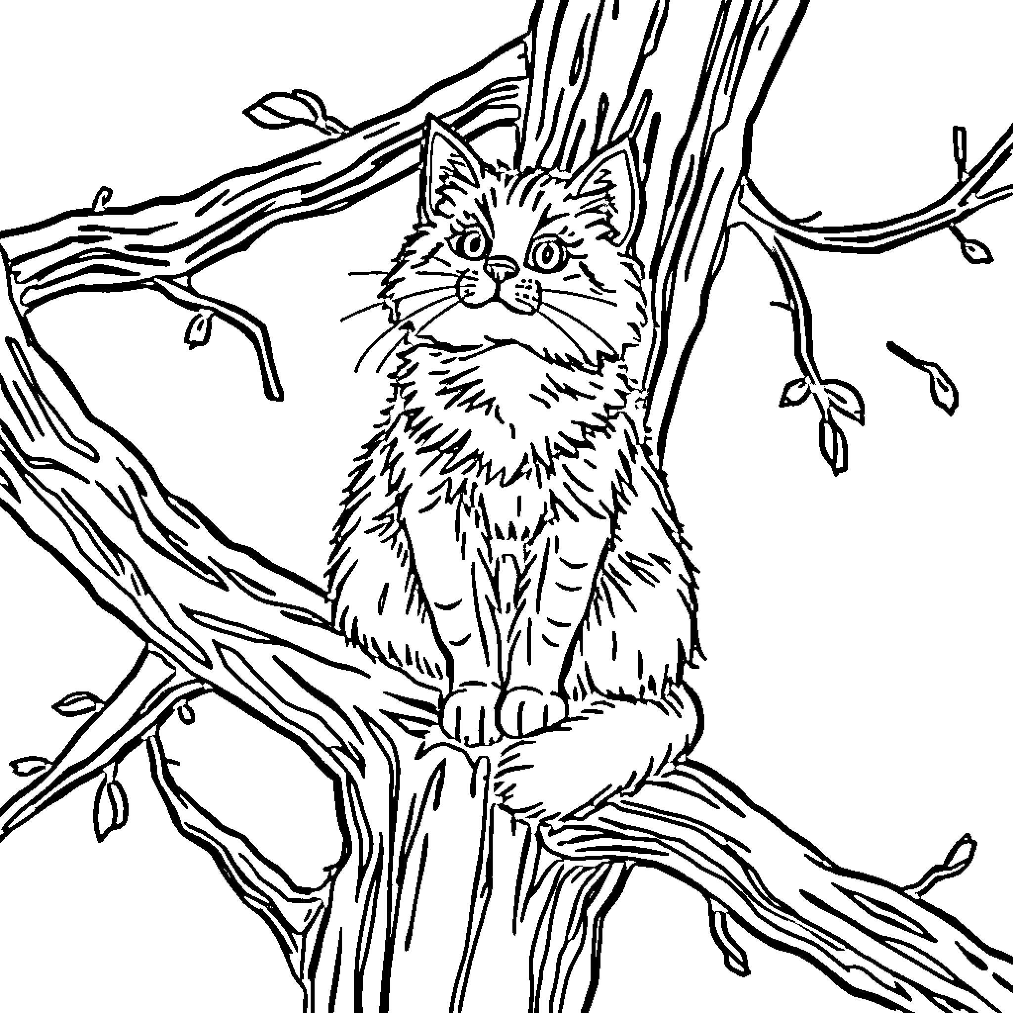 Cat Perched Atop Branches in Tree Coloring Page (free black-and-white line drawing printable PDF for all, from beginners to advanced learners, including children, teens, adults, and seniors)