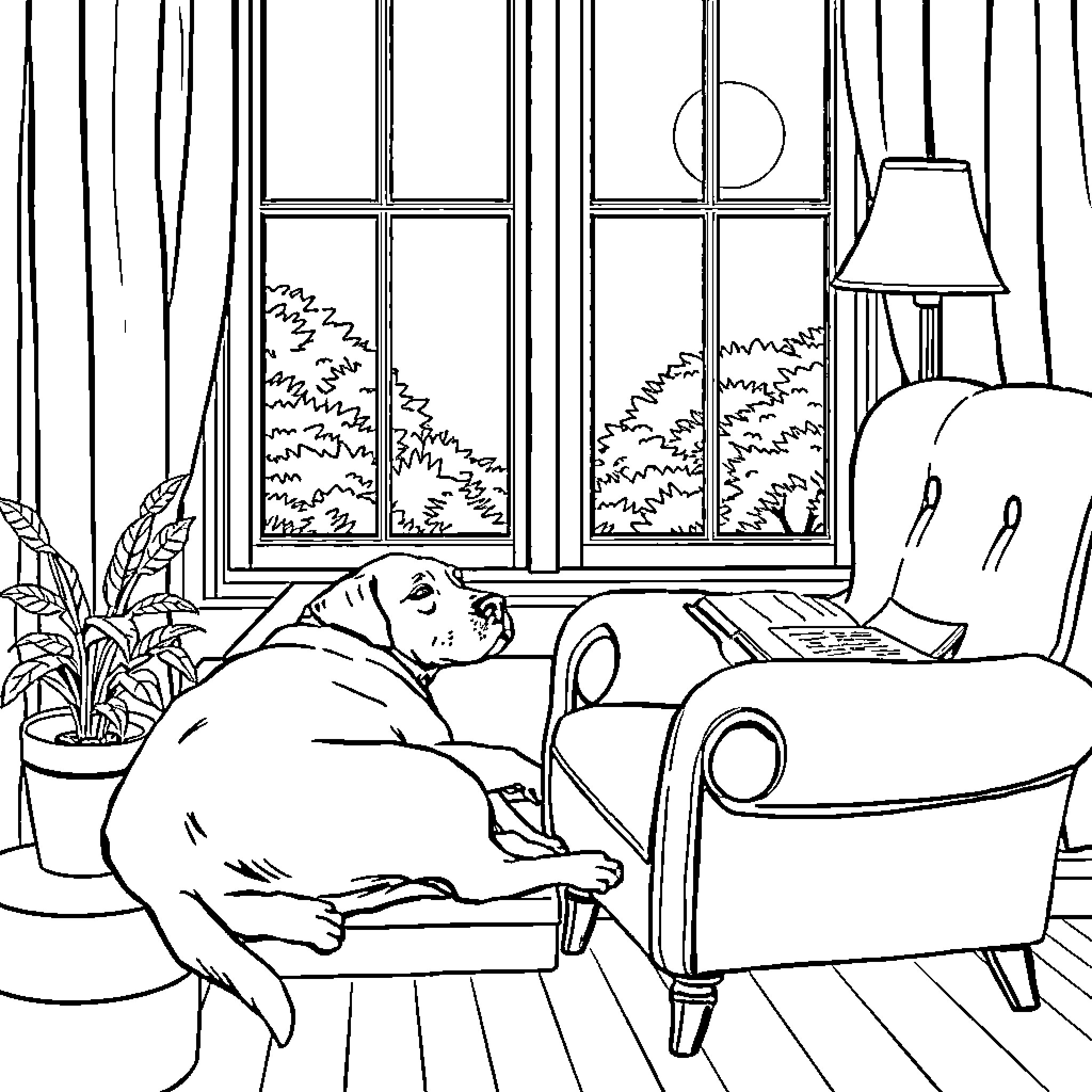 Lab napping comfortably by the window Coloring Page (free black-and-white line drawing printable PDF for all, from beginners to advanced learners, including children, teens, adults, and seniors)