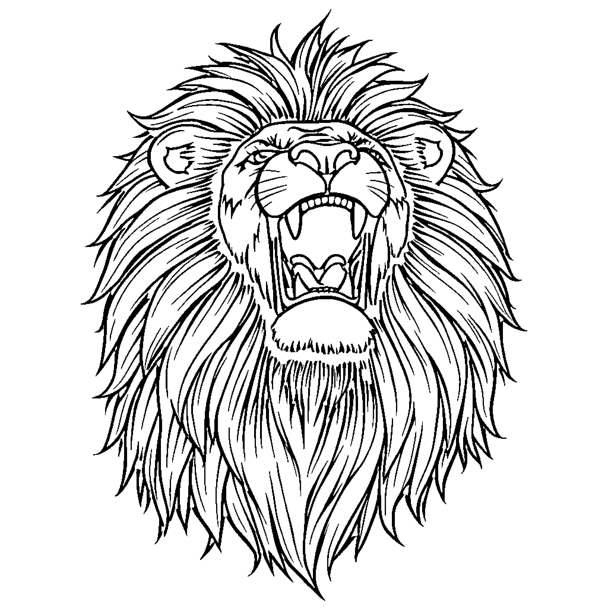 Lion roaring with fierce expression Coloring Page (free black-and-white line drawing printable PDF for all, from beginners to advanced learners, including children, teens, adults, and seniors)