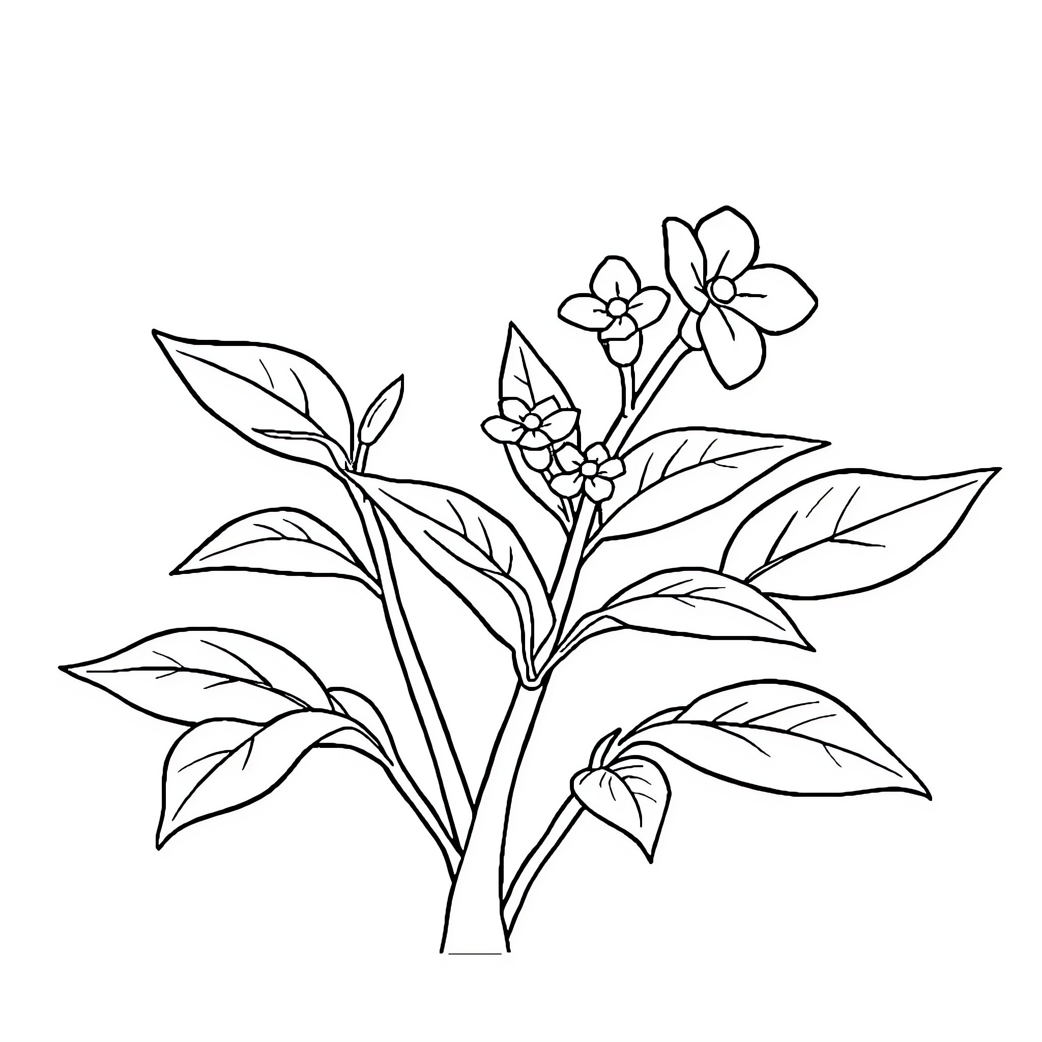 Brainroot's floral bouquet illustration Coloring Page (free black-and-white line drawing printable PDF for all, from beginners to advanced learners, including children, teens, adults, and seniors)