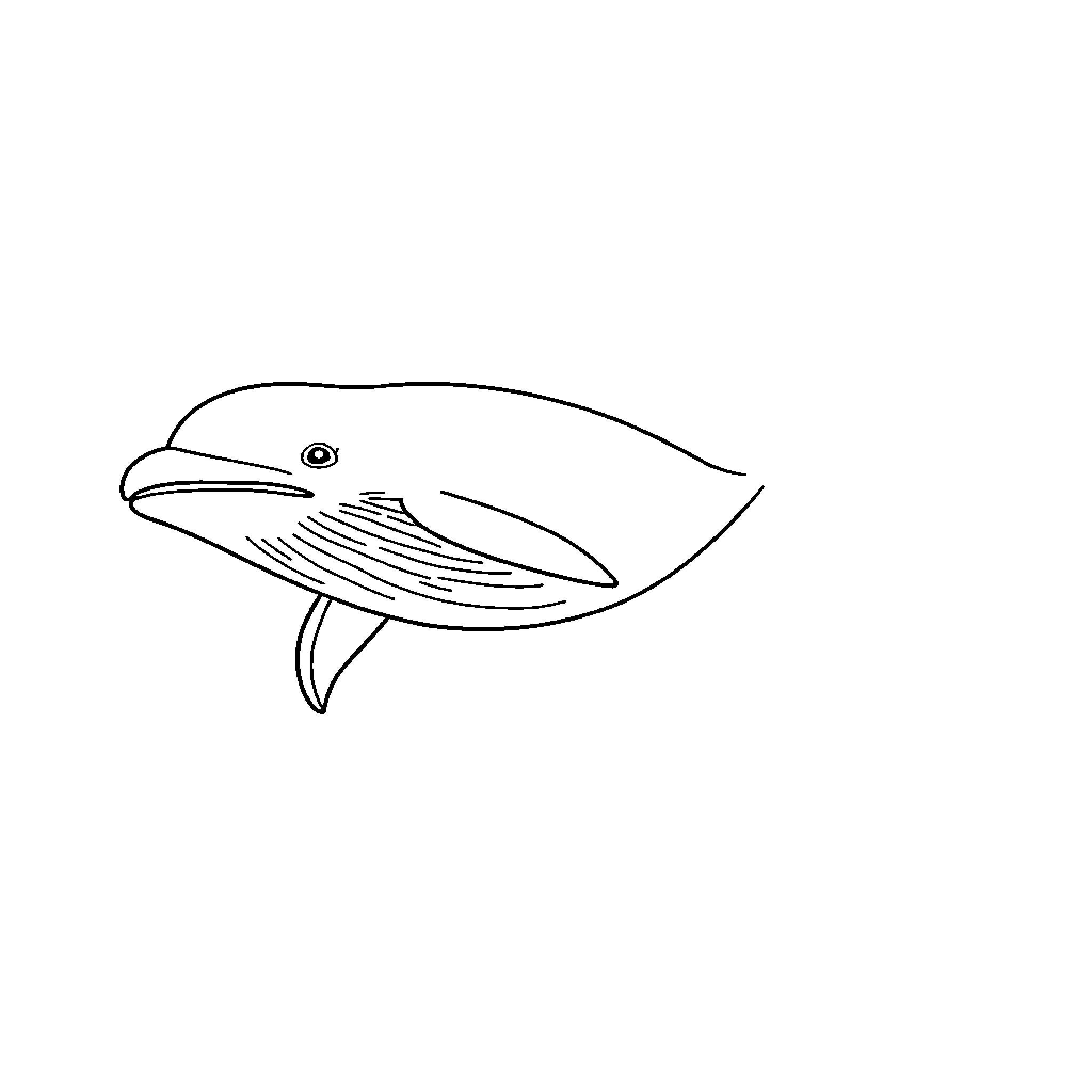 Beluga whale swimming in the ocean Coloring Page (free black-and-white line drawing printable PDF for all, from beginners to advanced learners, including children, teens, adults, and seniors)