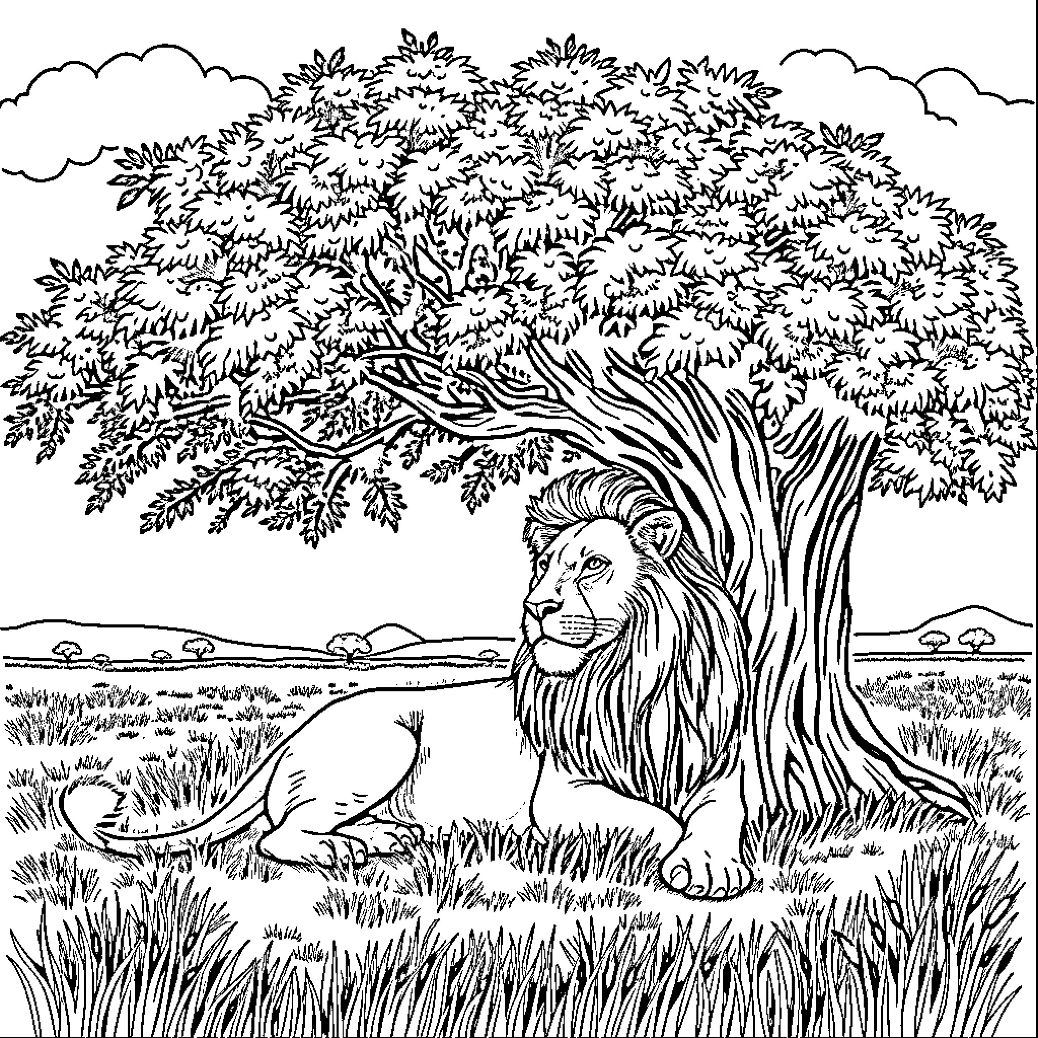 Lion resting peacefully under a large tree Coloring Page (free black-and-white line drawing printable PDF for all, from beginners to advanced learners, including children, teens, adults, and seniors)