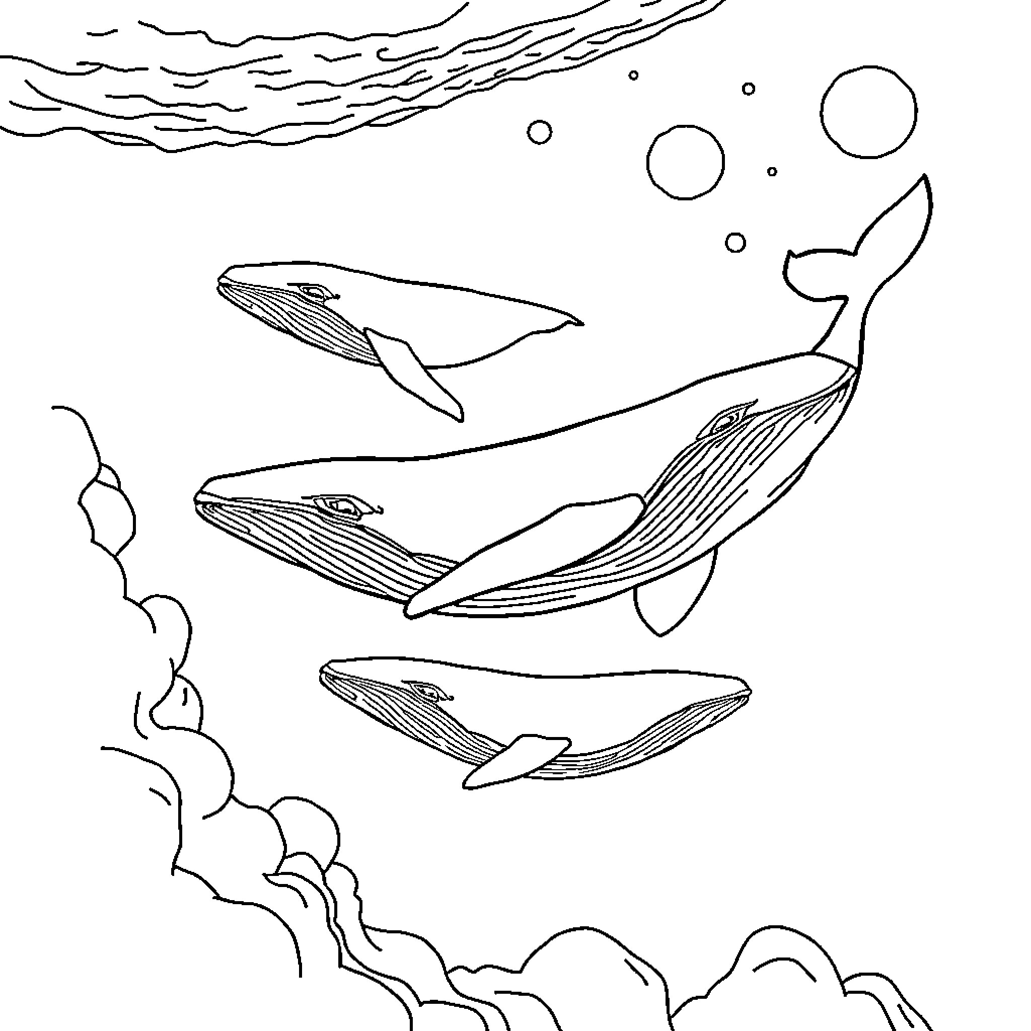 Whale family swimming in the ocean Coloring Page (free black-and-white line drawing printable PDF for all, from beginners to advanced learners, including children, teens, adults, and seniors)
