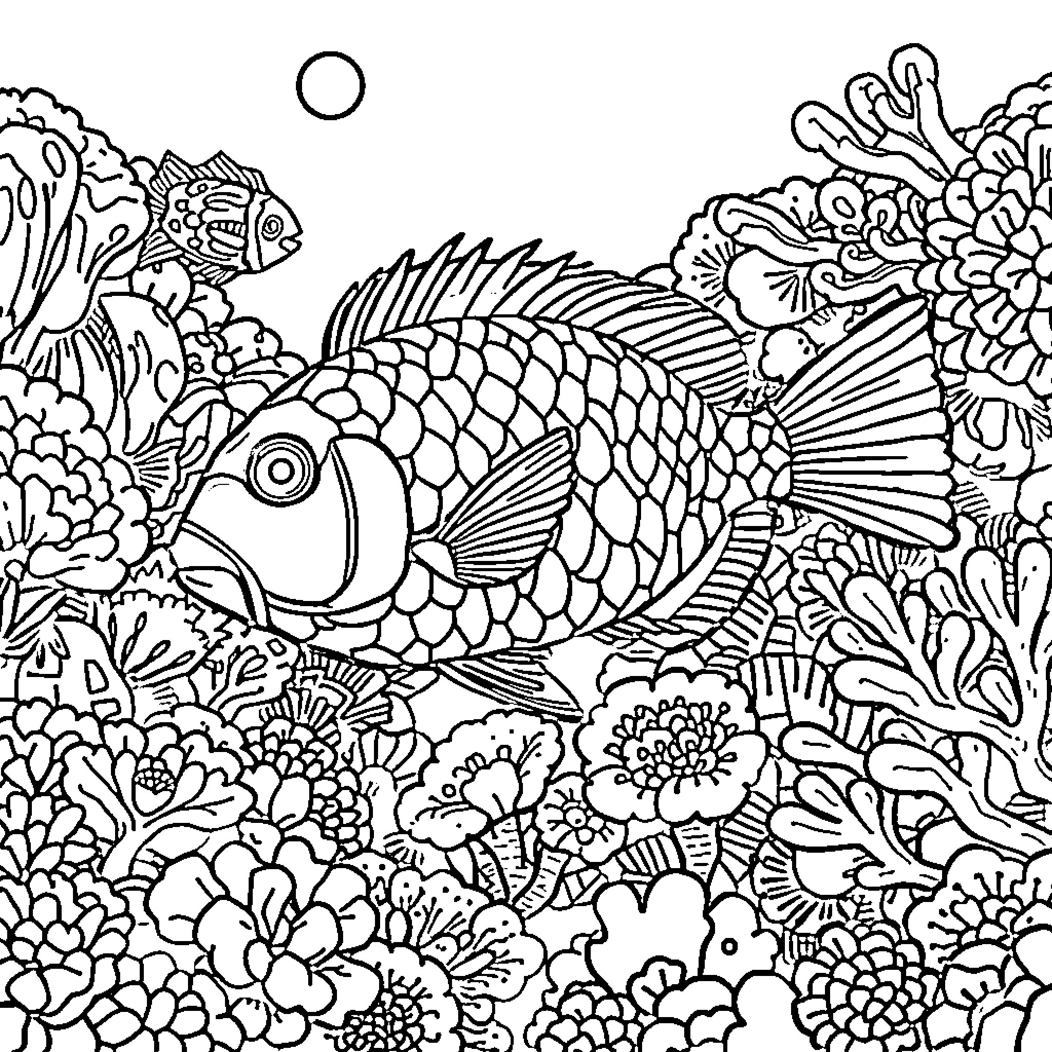 Parrotfish swimming among vibrant coral reef Coloring Page (free black-and-white line drawing printable PDF for all, from beginners to advanced learners, including children, teens, adults, and seniors)