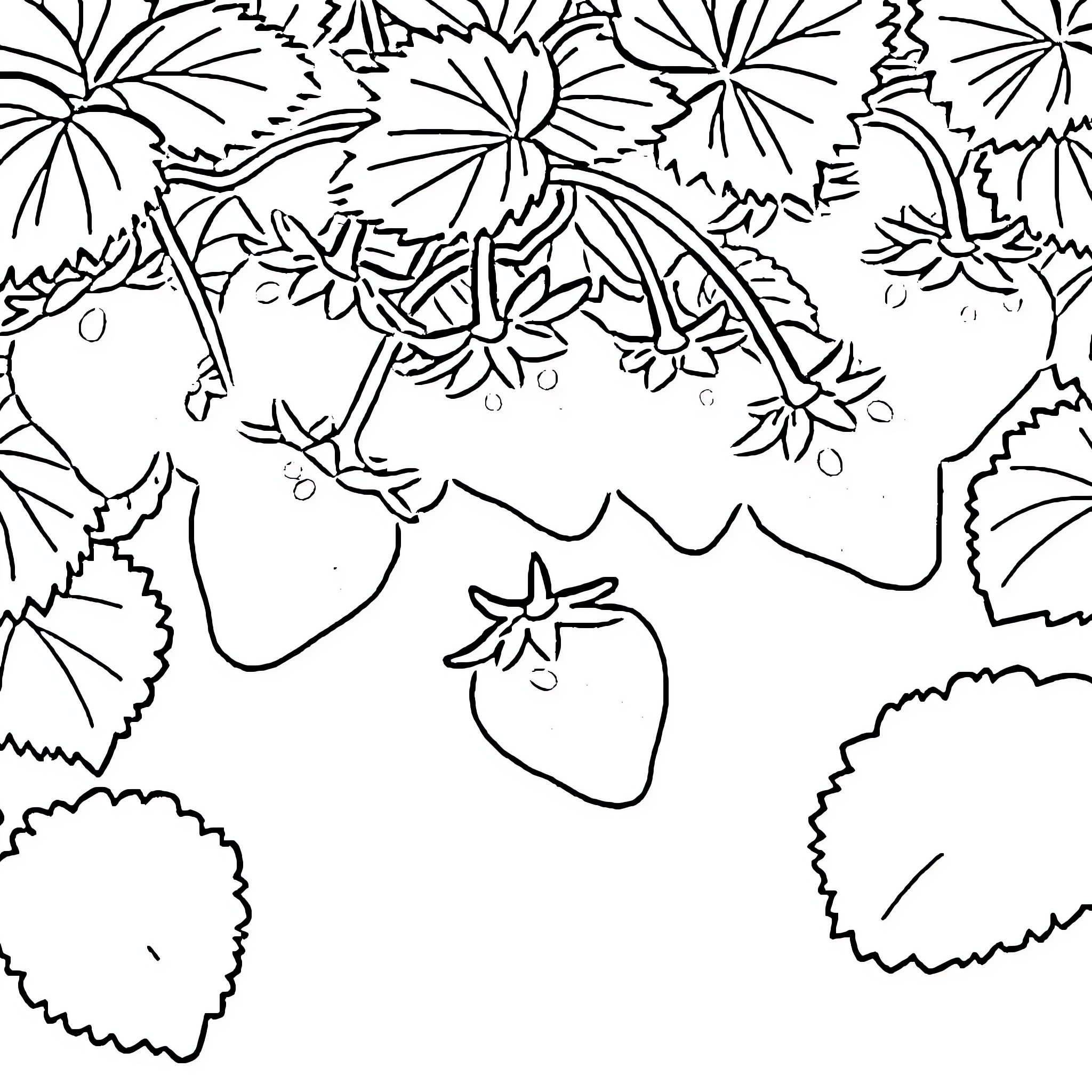 Strawberry Doodle with Leafy Shapes Coloring Page (free black-and-white line drawing printable PDF for all, from beginners to advanced learners, including children, teens, adults, and seniors)