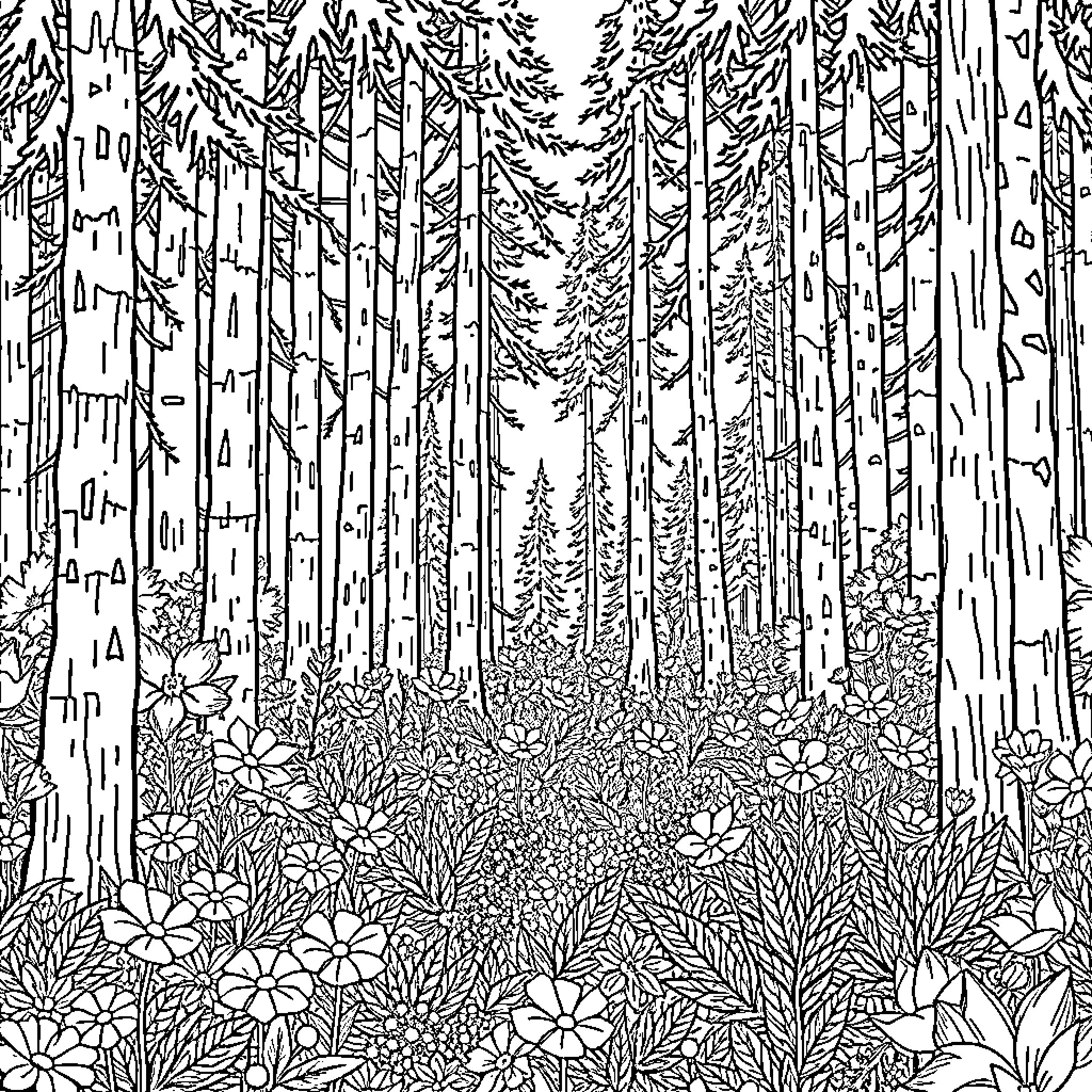 Forest Wilderness with Lush Vegetation and Trees Coloring Page (free black-and-white line drawing printable PDF for all, from beginners to advanced learners, including children, teens, adults, and seniors)